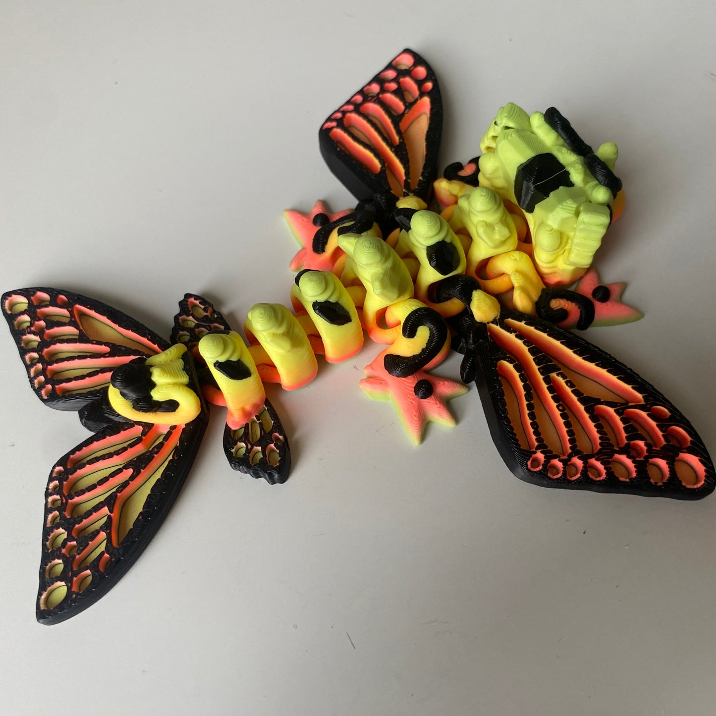 Baby Mini Butterfly Dragon