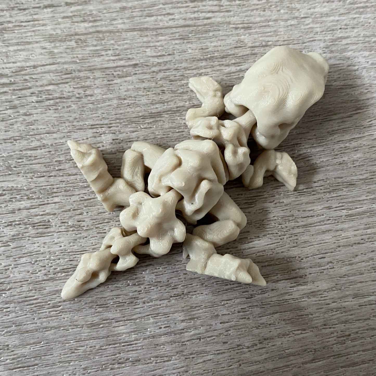 Flexi Skeleton T-Rex