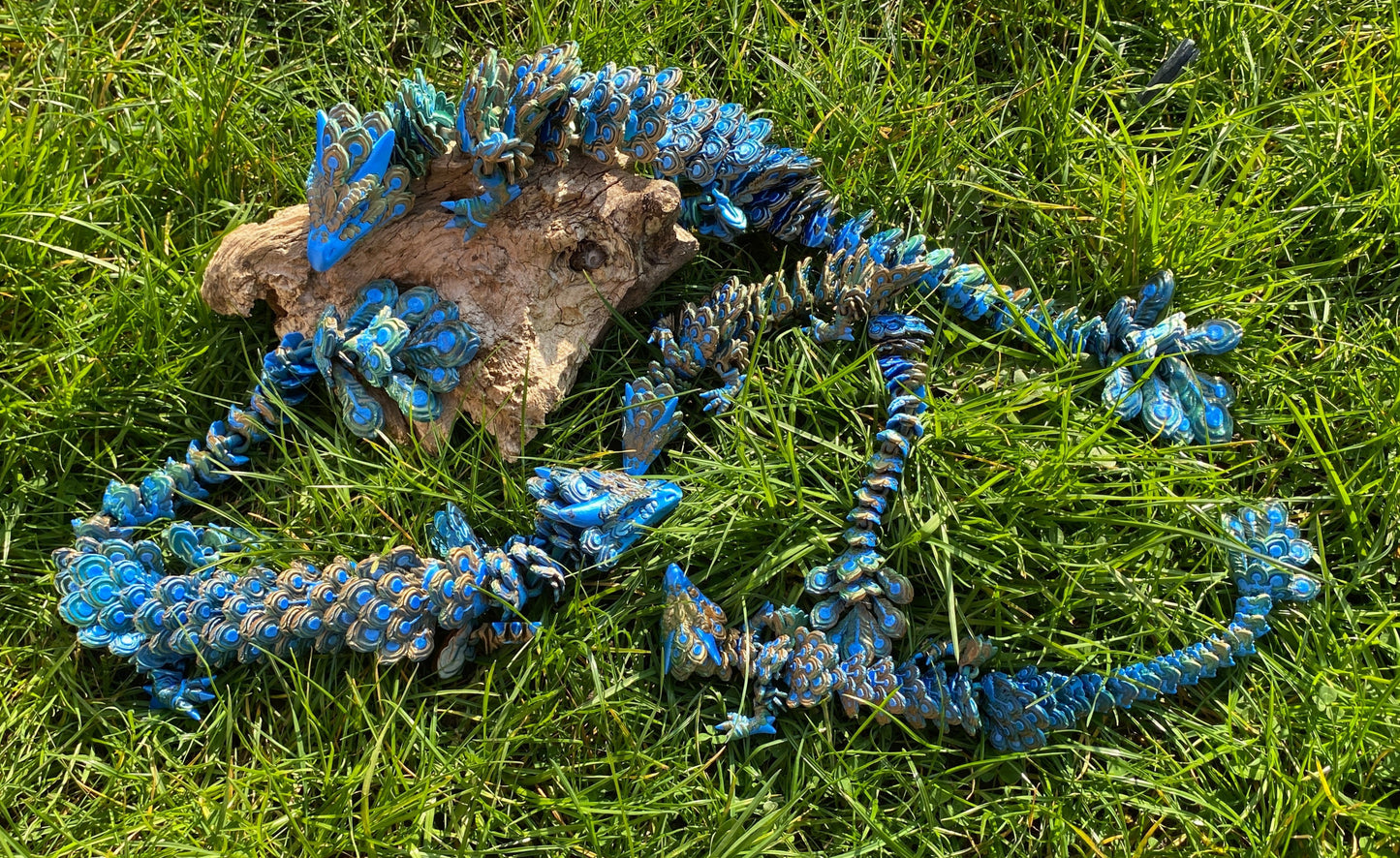 Peacock Dragon