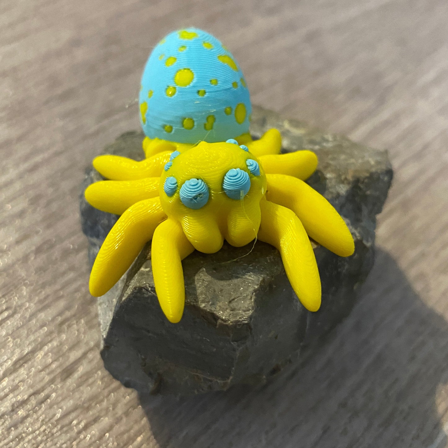 Easter Egg Spider