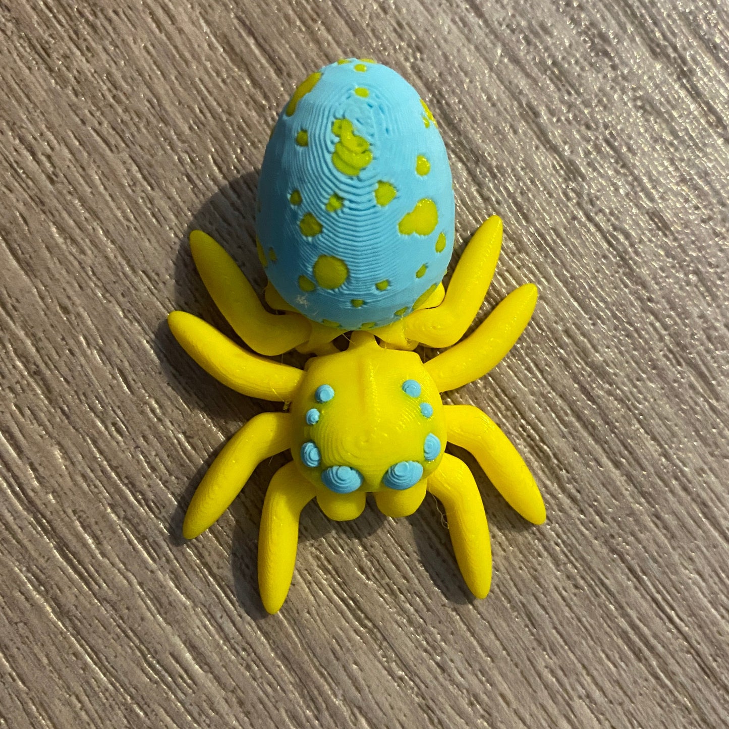 Easter Egg Spider