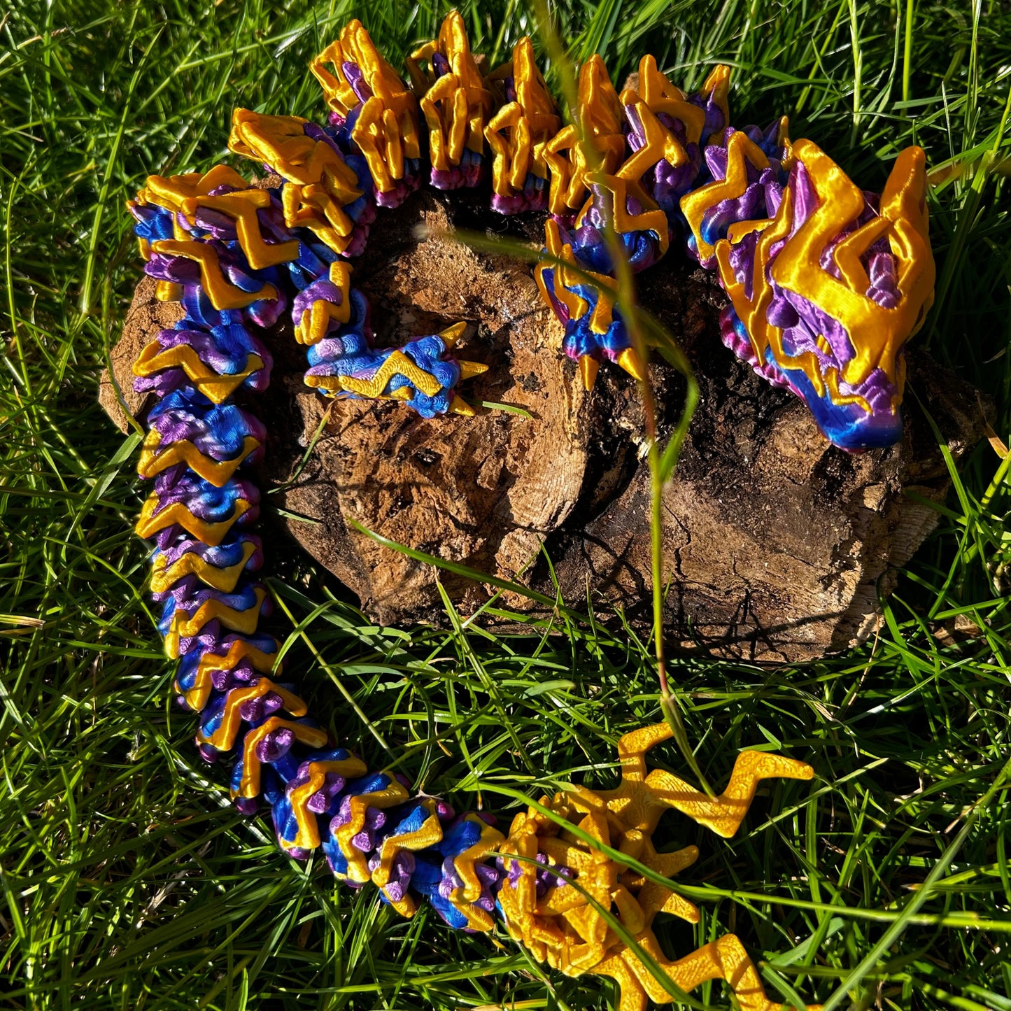 Storm Dragon