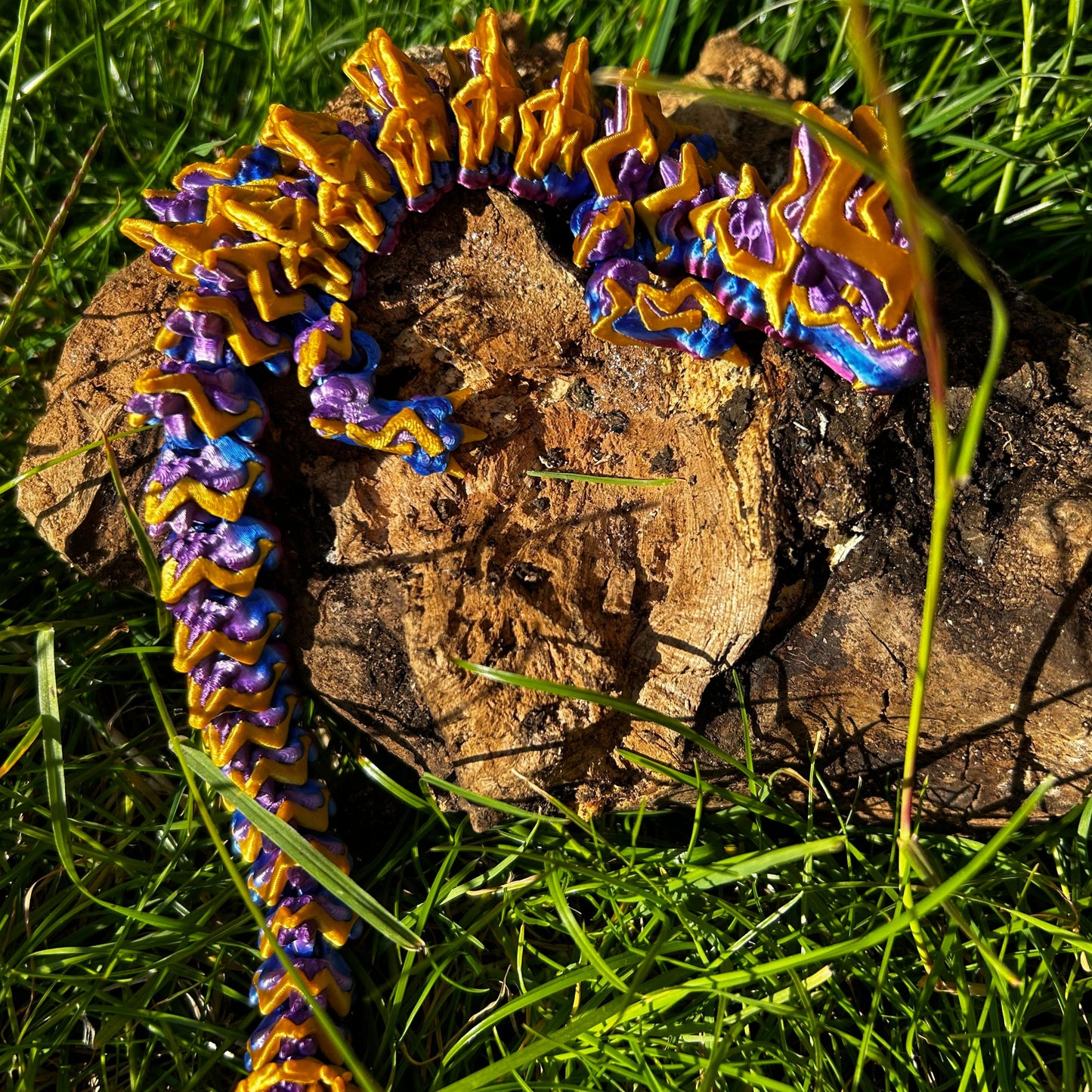 Storm Dragon