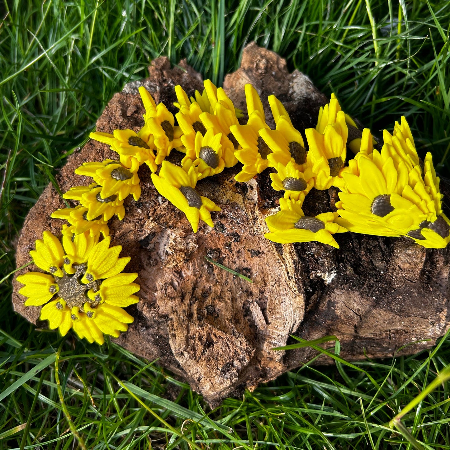 Baby Sunflower Dragon
