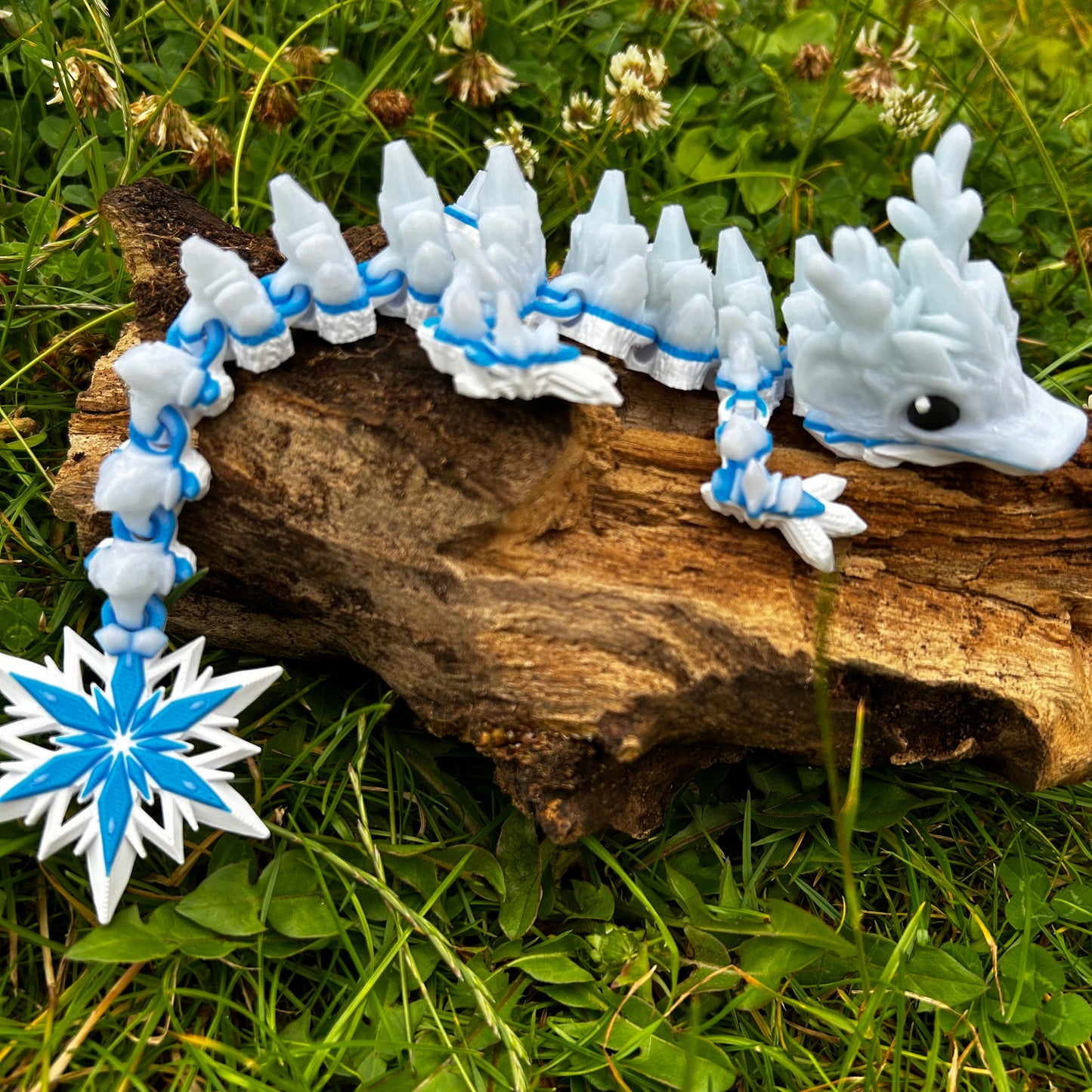 Baby Winter Dragon