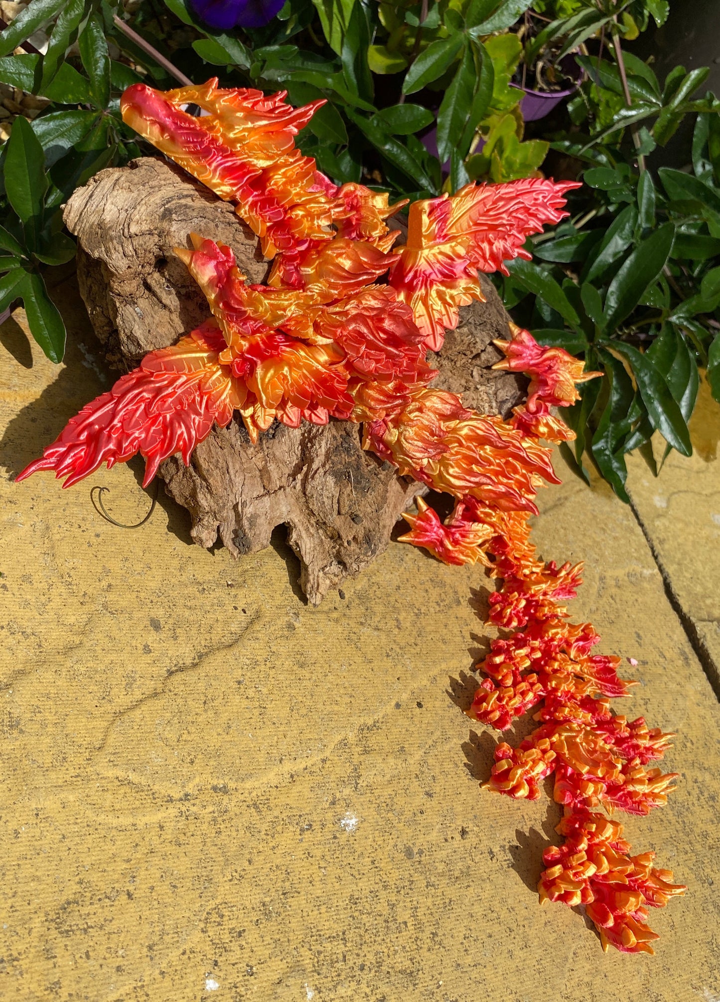 Phoenix Dragon