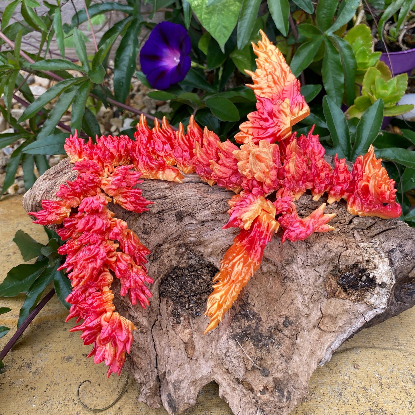 Phoenix Dragon