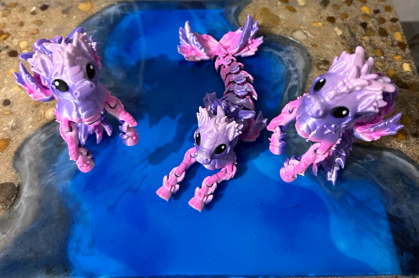 Hippocampus