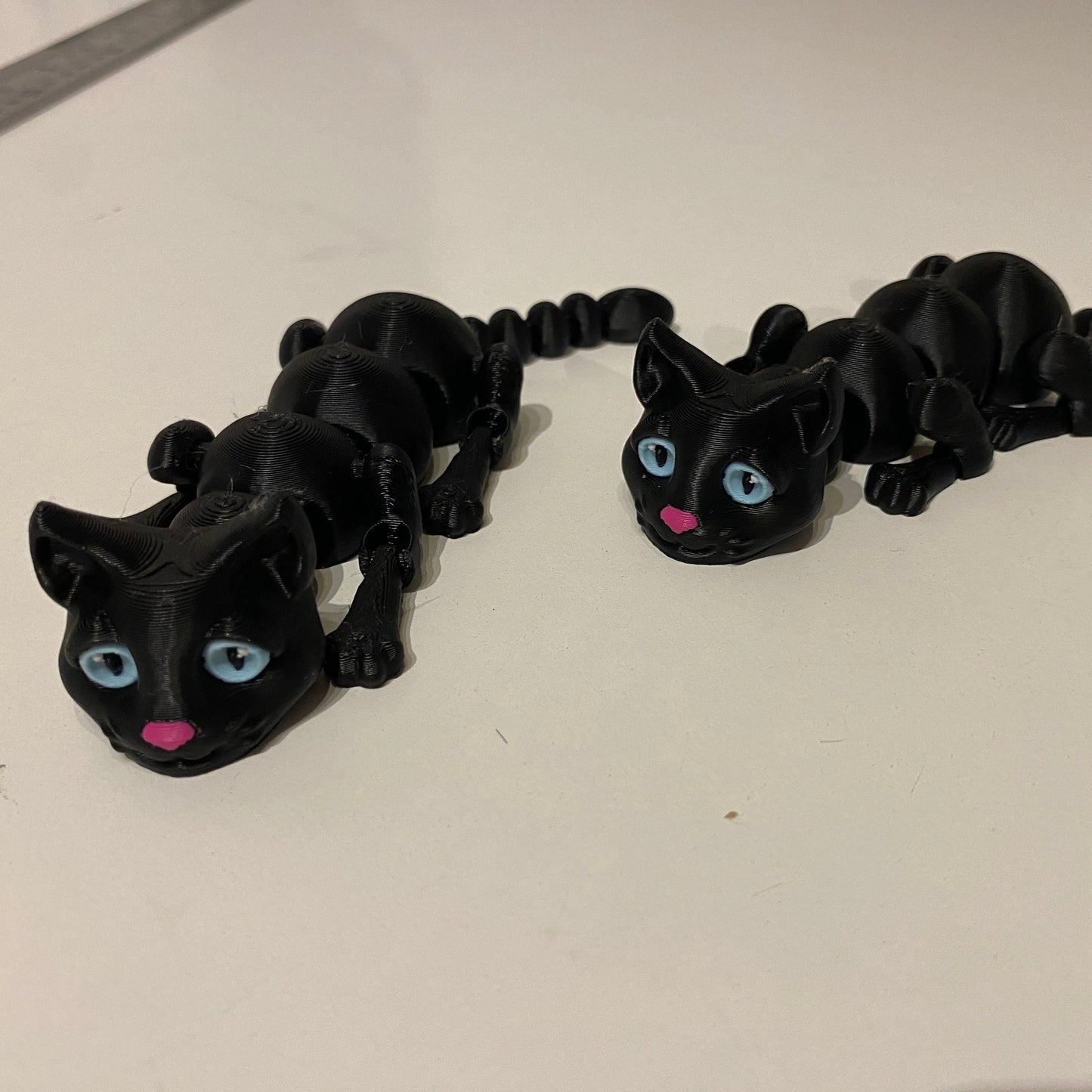 Flexi Cat