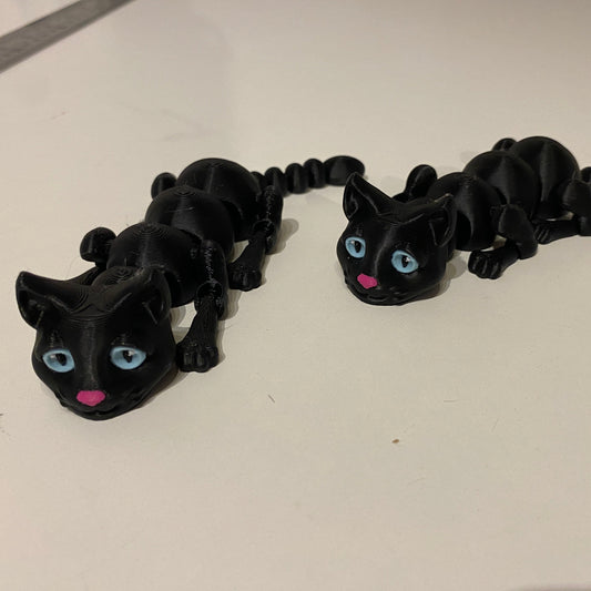 Flexi Cat