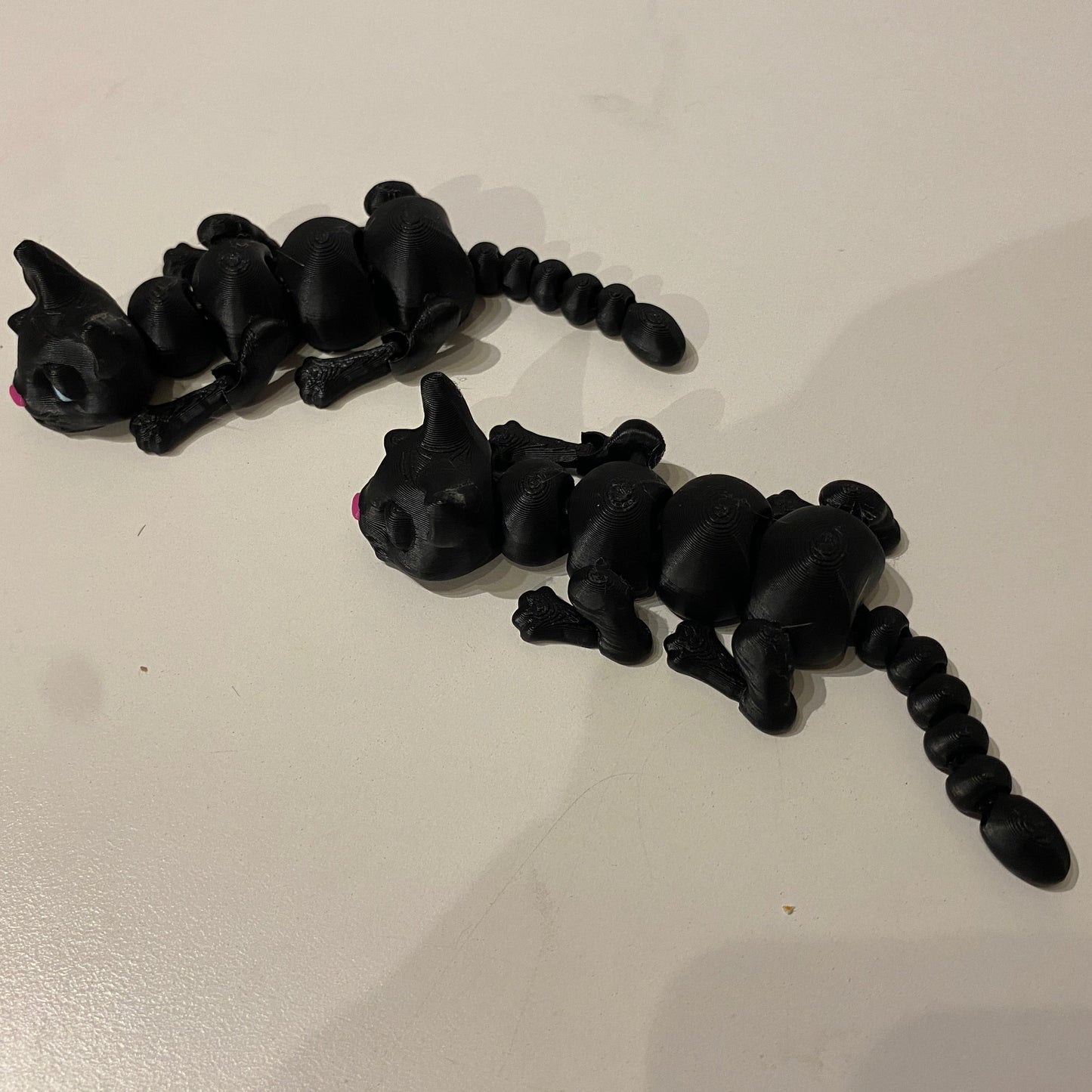 Flexi Cat