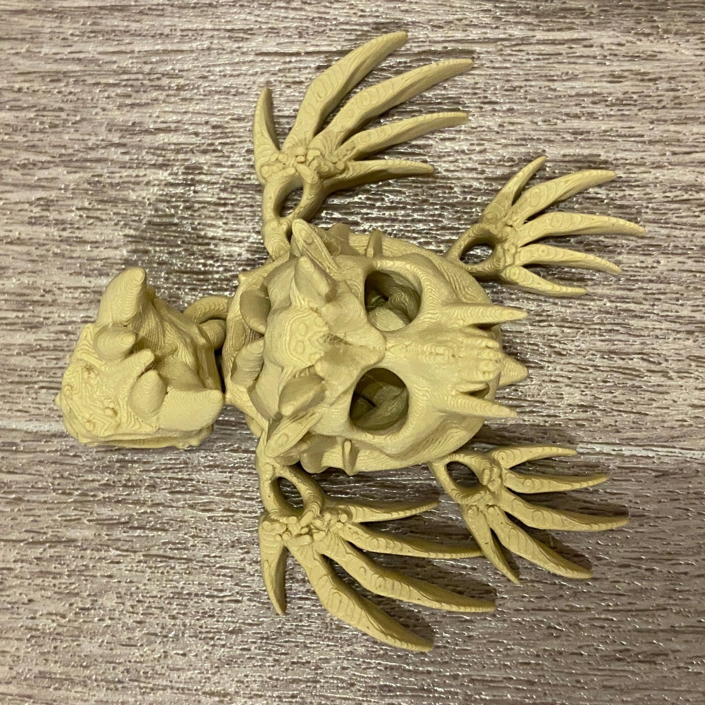 Flexi Hollow Turtle