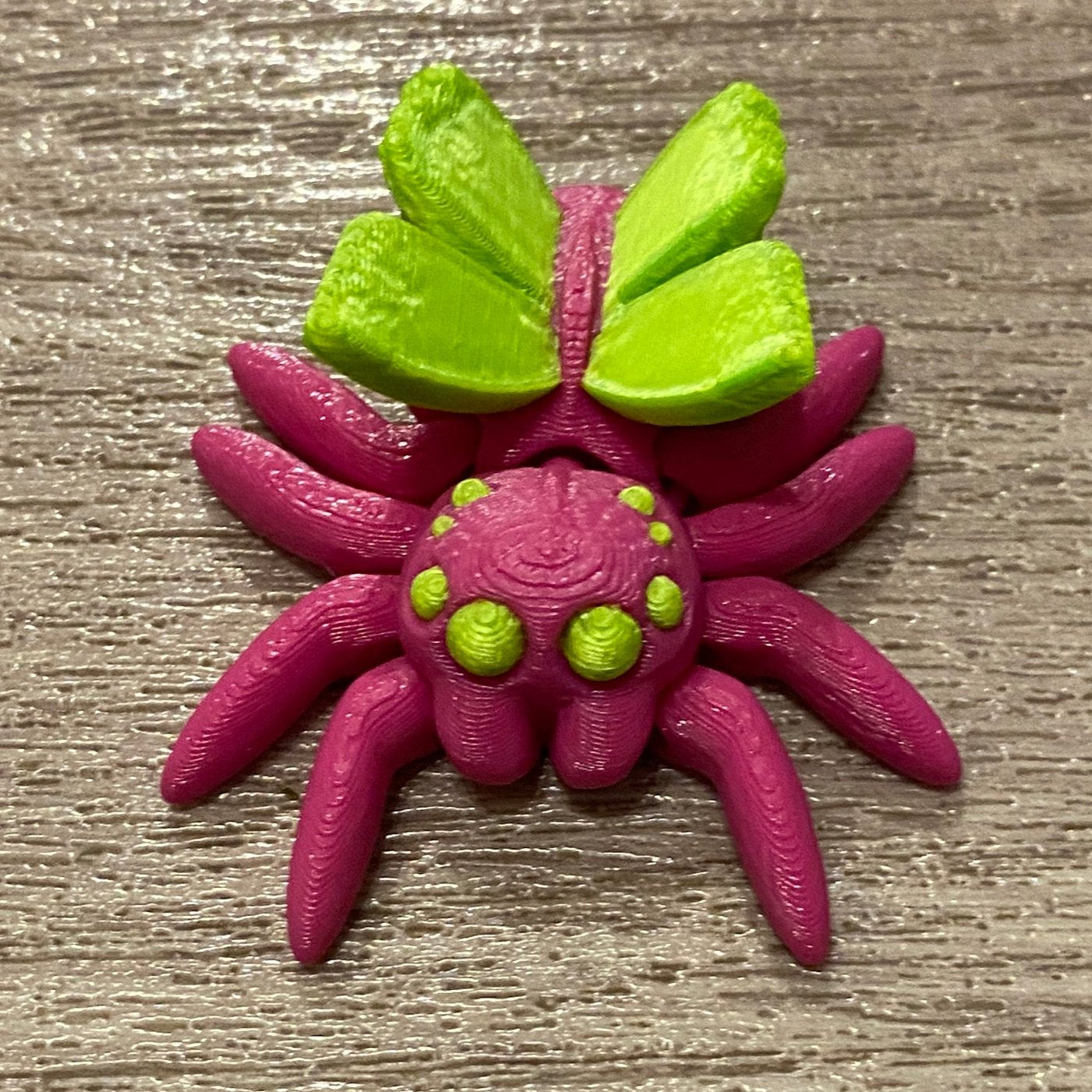 Fairy Spider