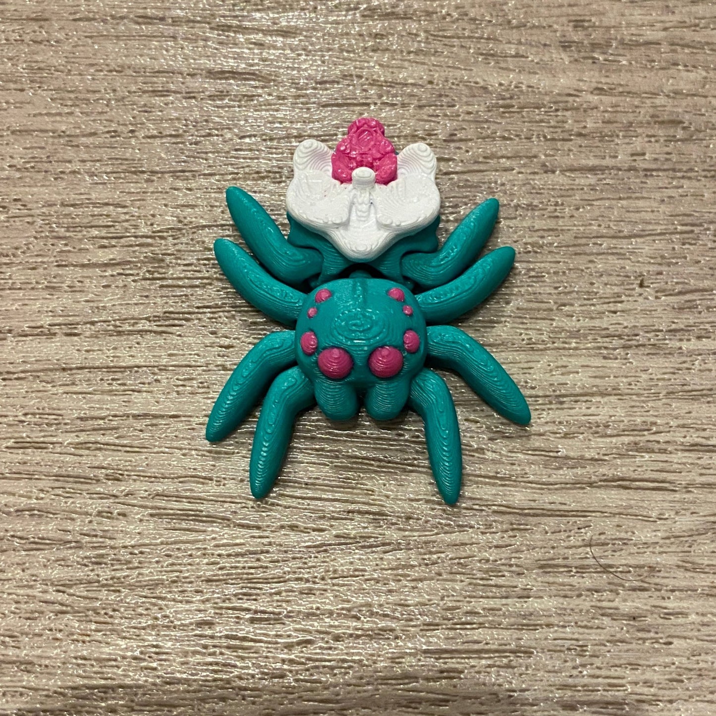 Orchid Spider