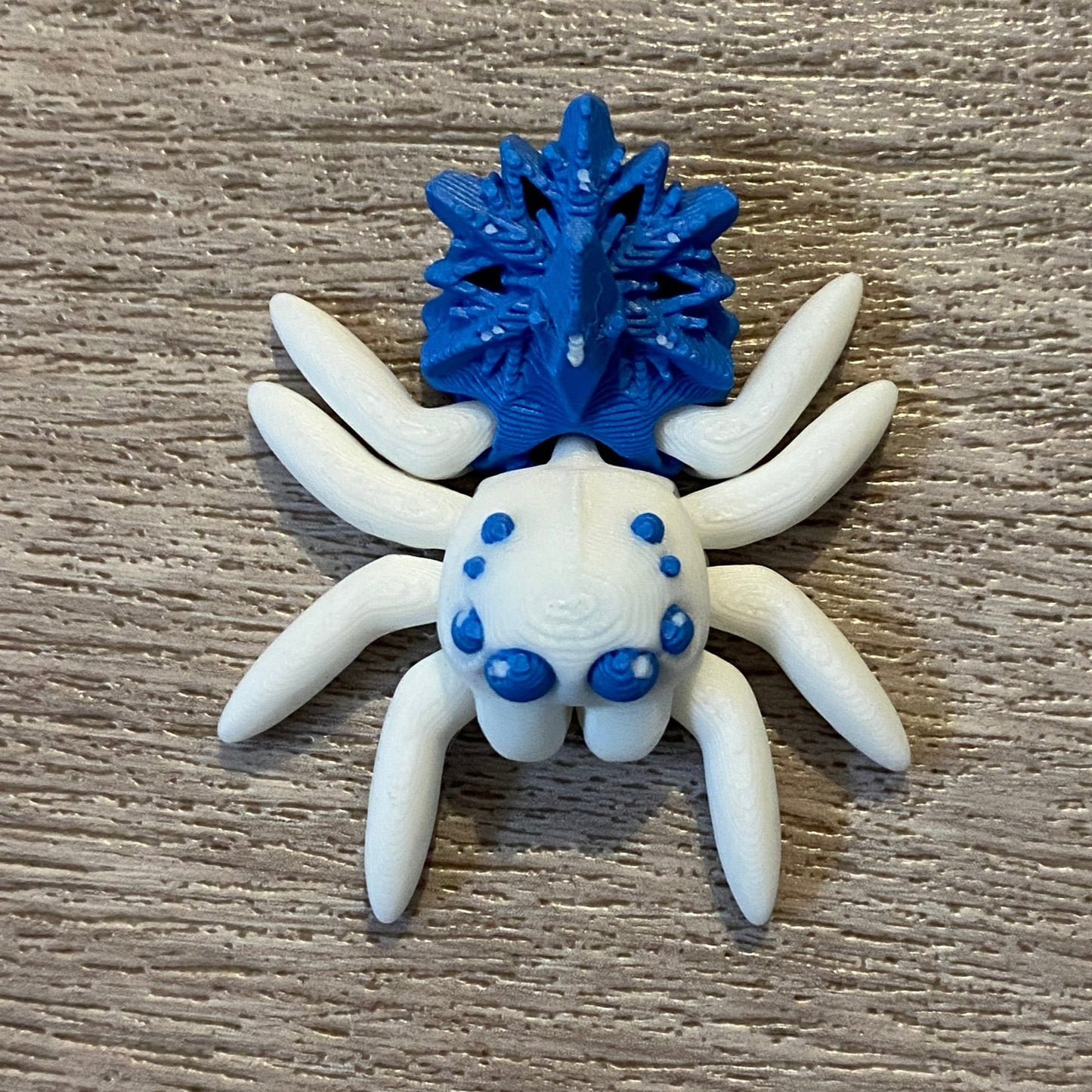 Snowflake Spider