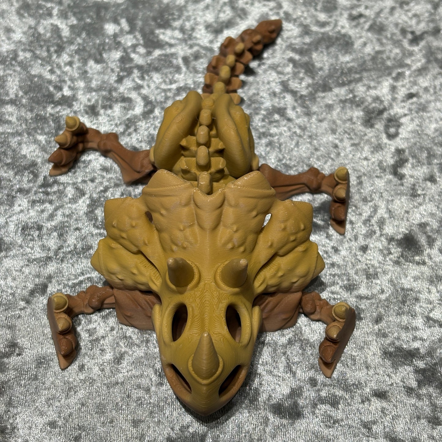 Triceratops