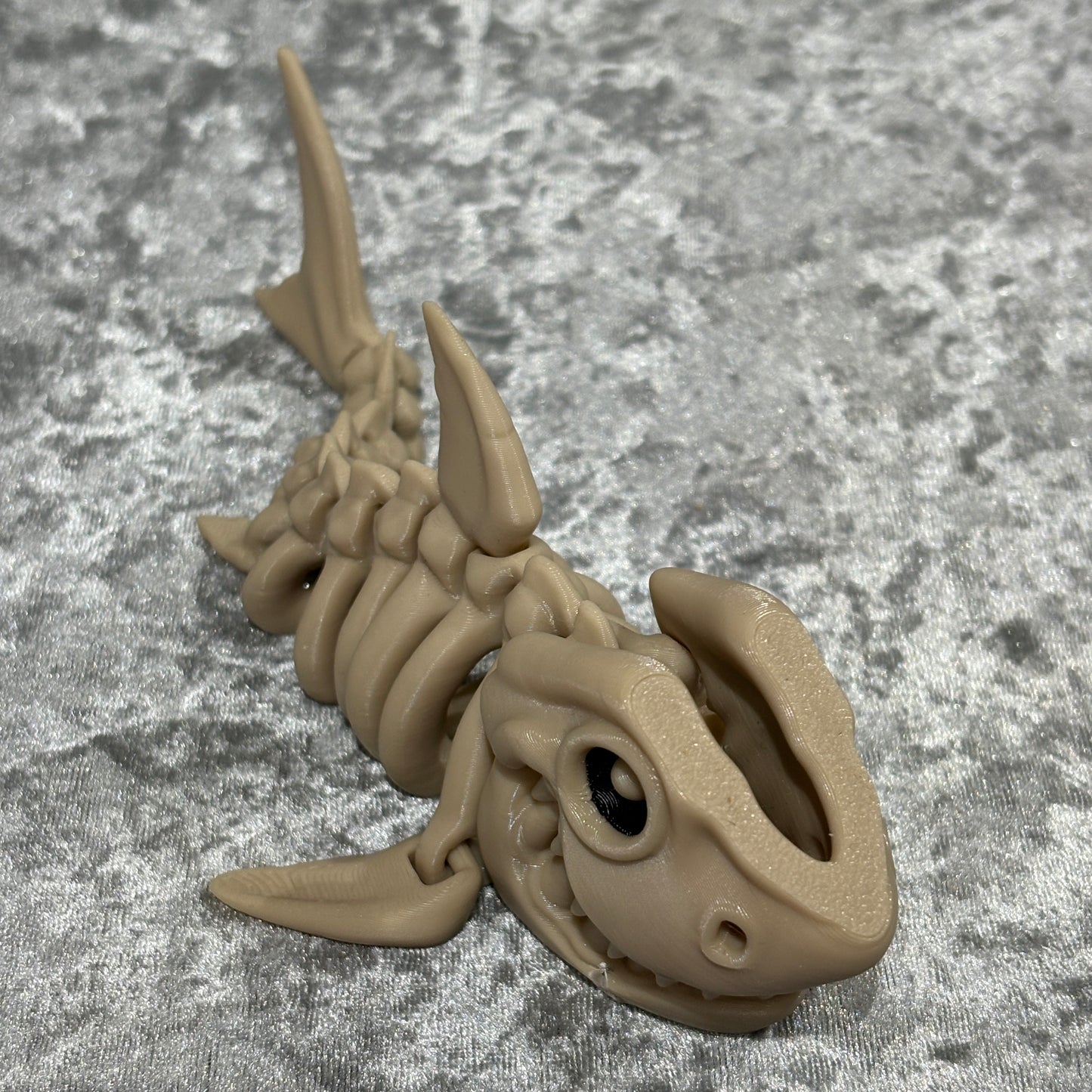 Shark Skeleton