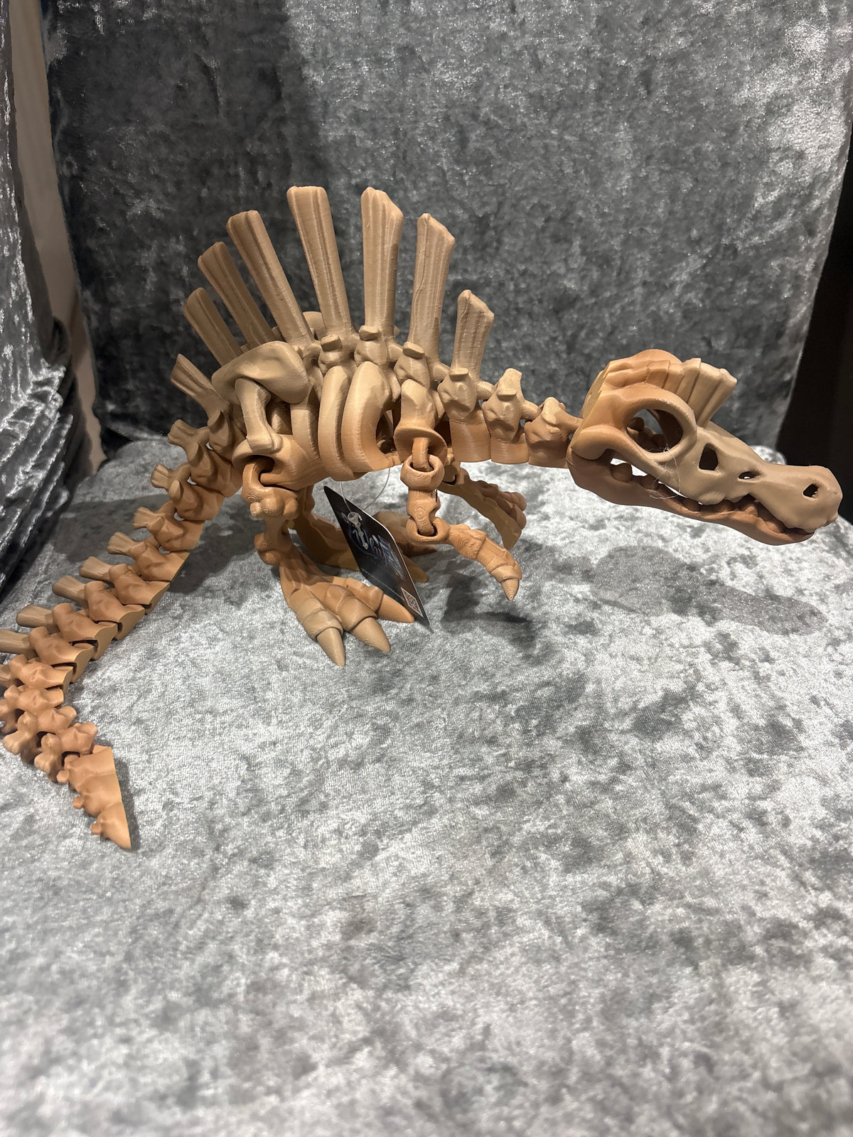 Extra Large Spinosaurus