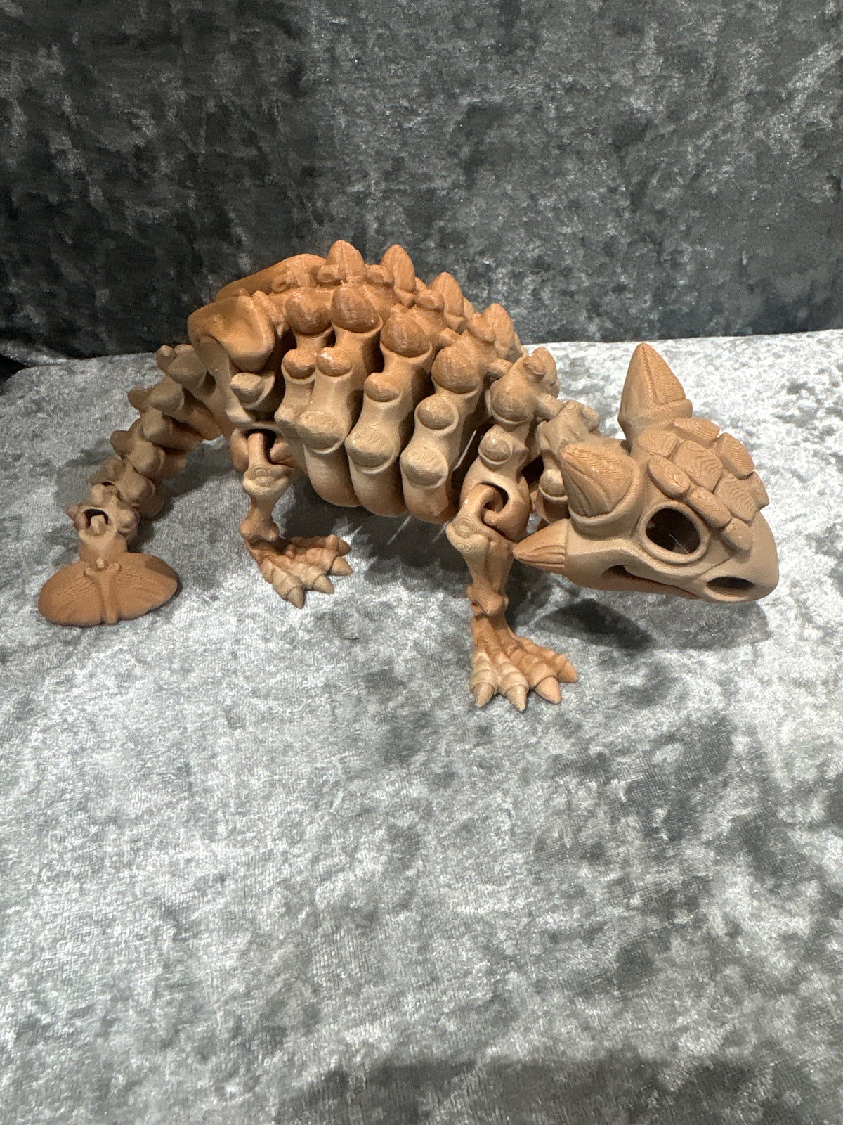 Ankylosaurus Skeleton