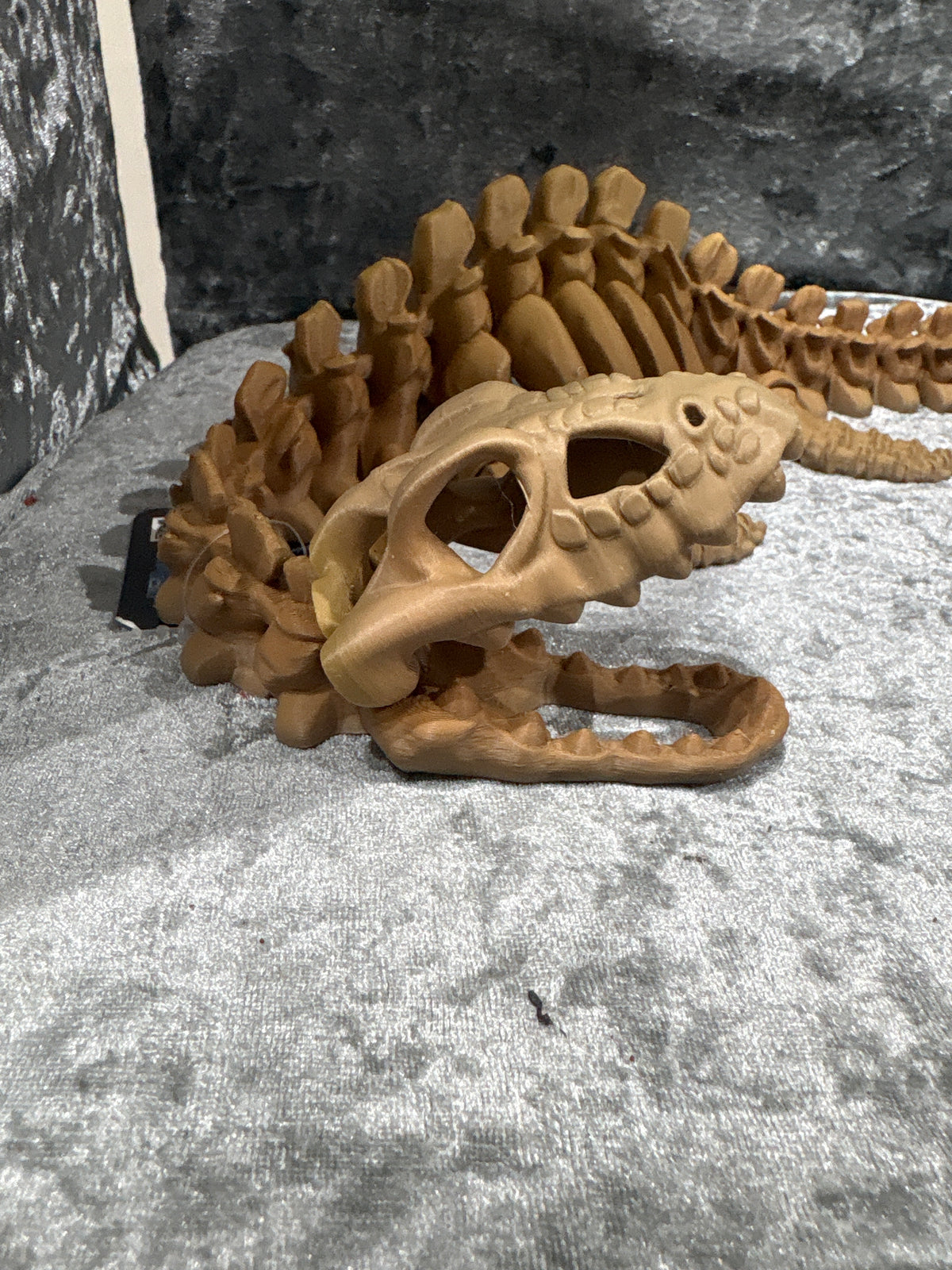Extra Large Pleisiosaur Skeleton