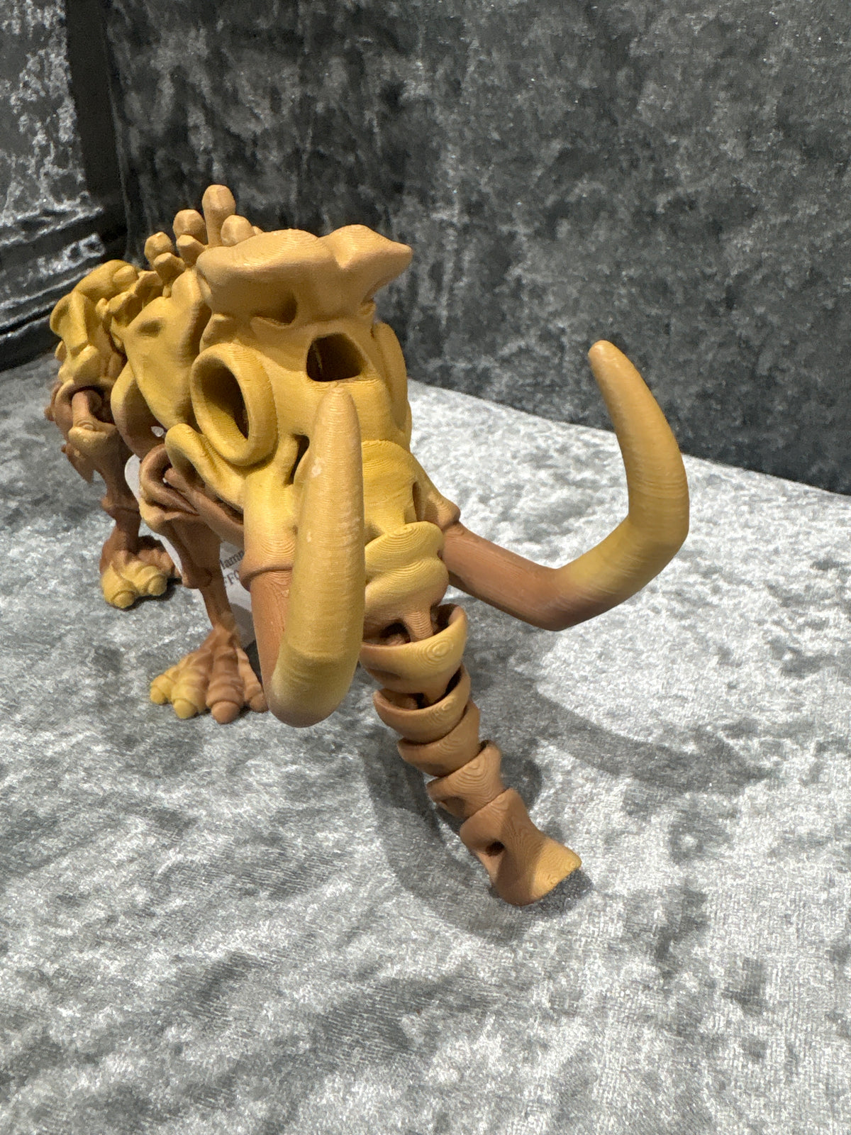 Mammoth Skeleton
