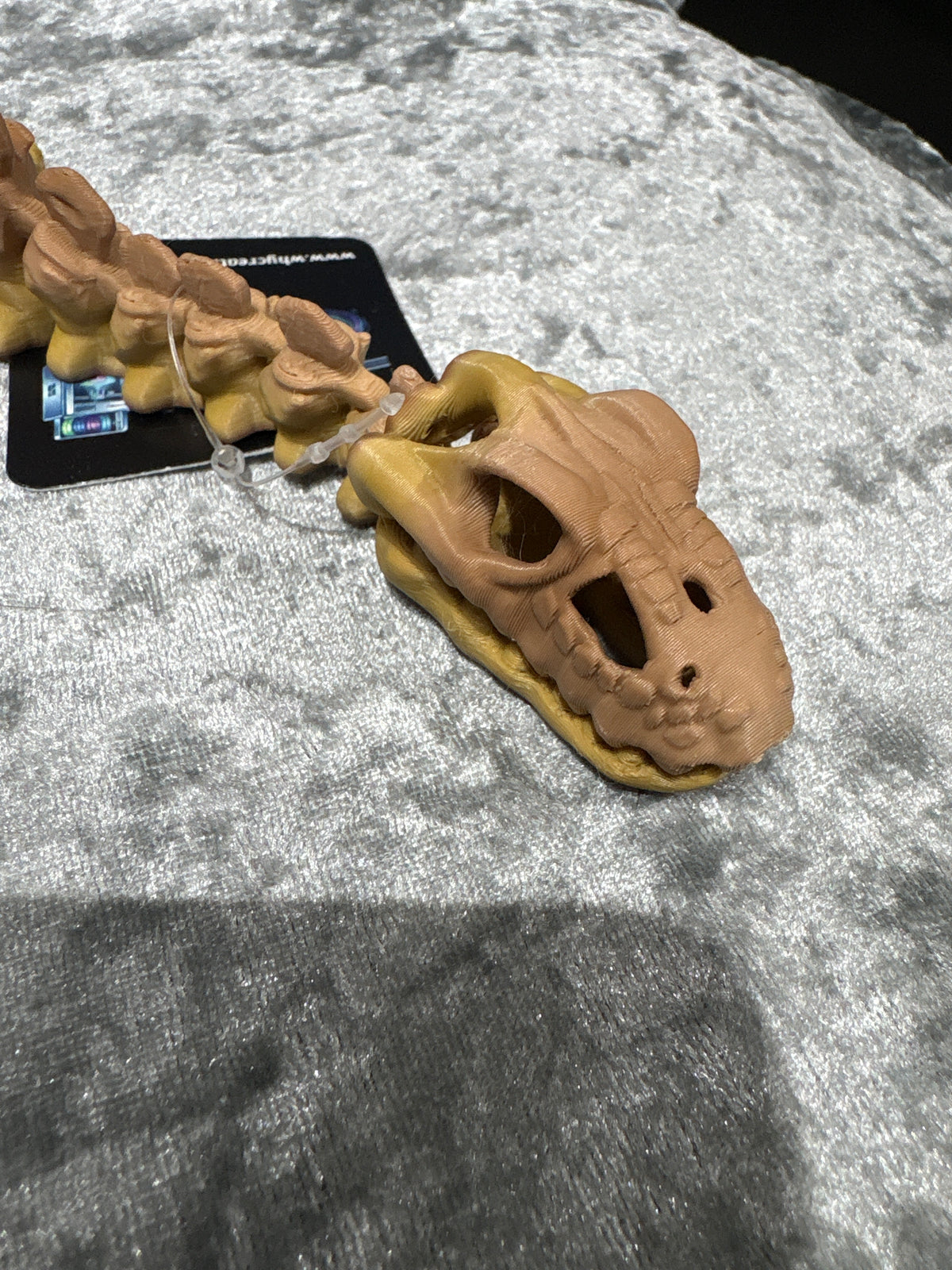 Pleisiosaur Skeleton