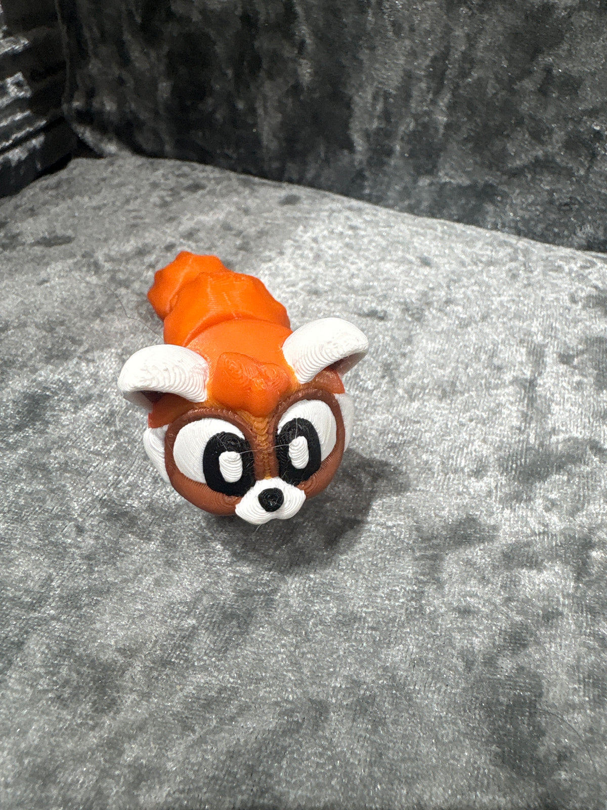 Cute little Red Panda