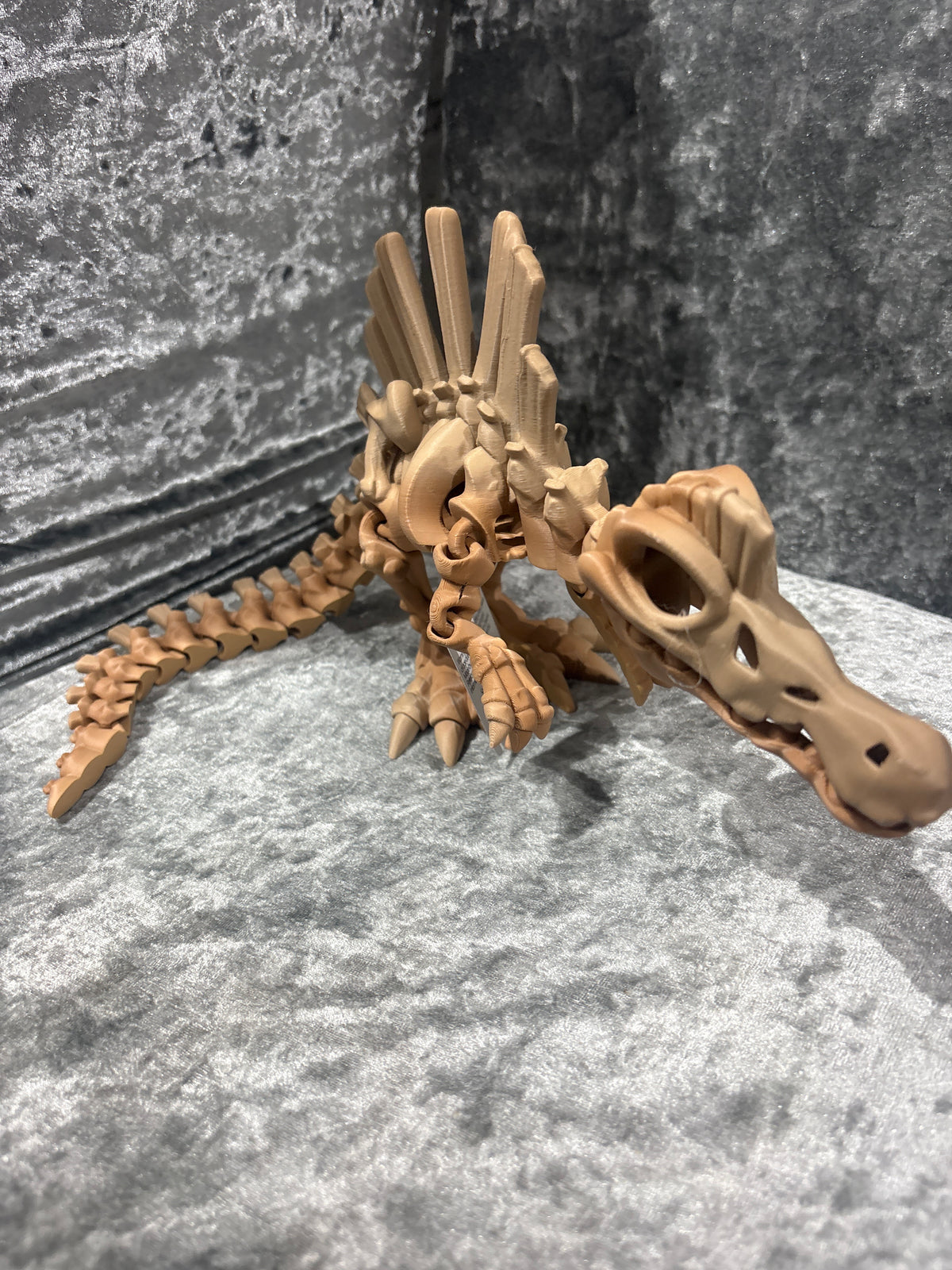 Extra Large Spinosaurus