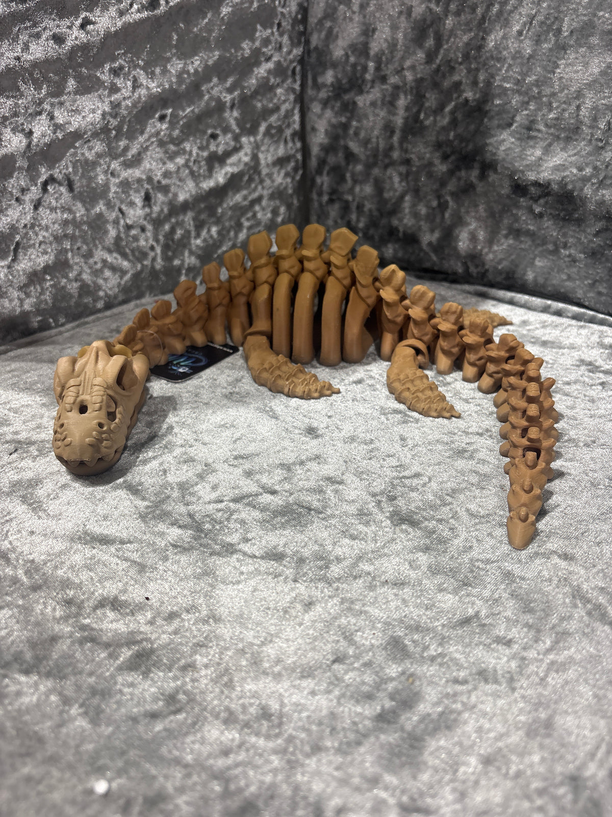 Extra Large Pleisiosaur Skeleton