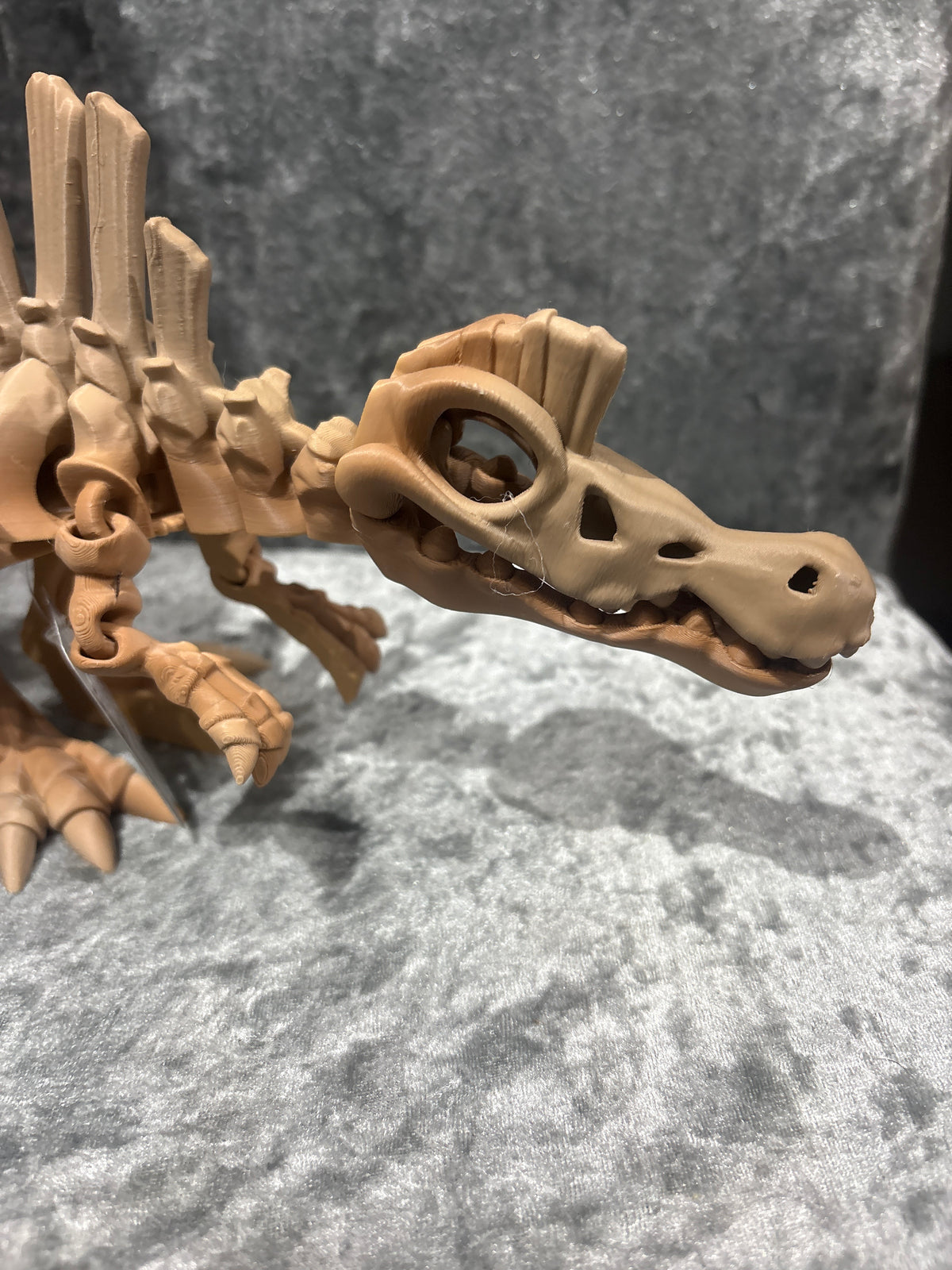 Extra Large Spinosaurus