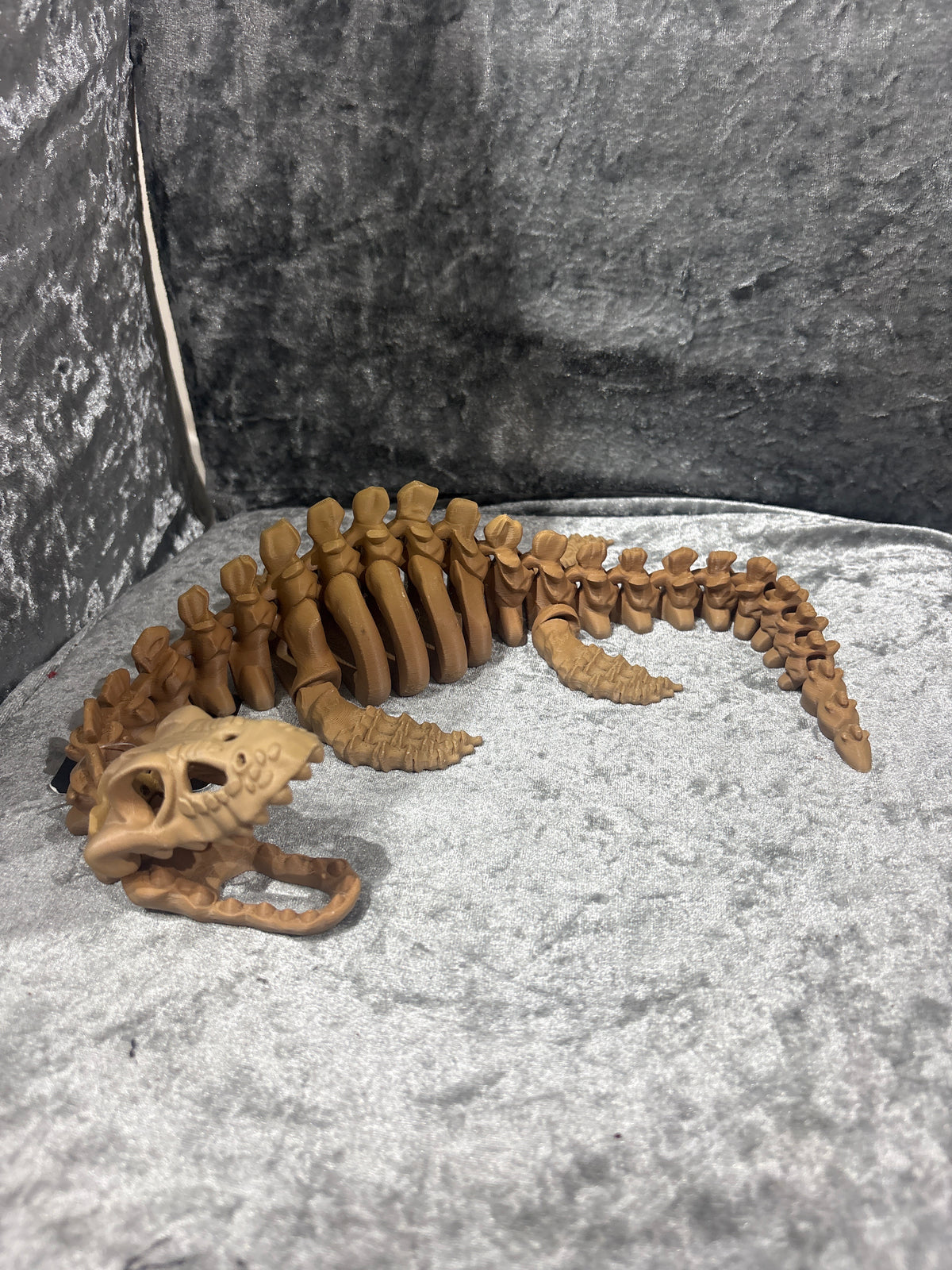Extra Large Pleisiosaur Skeleton