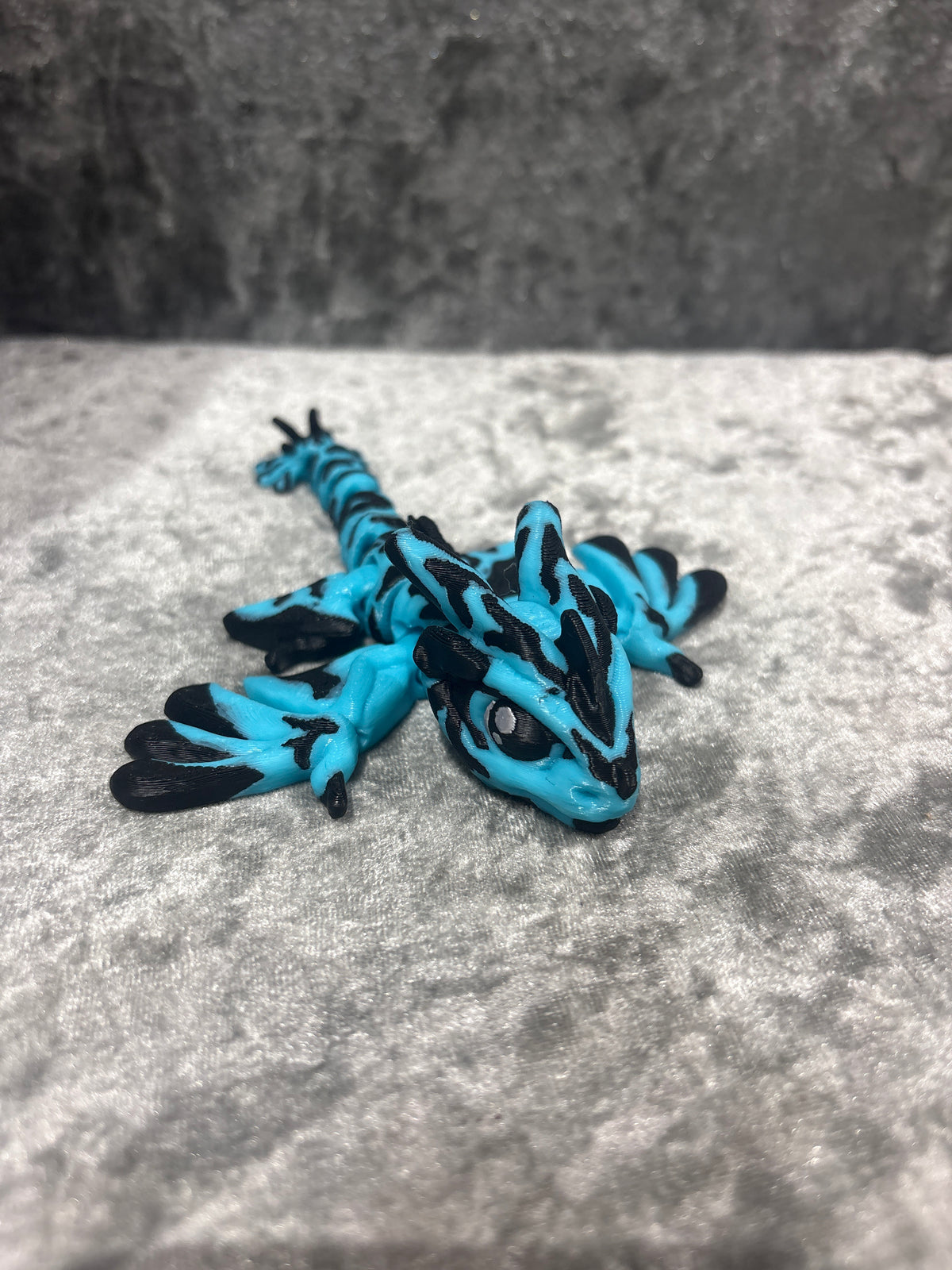 Amphitere Wyvern