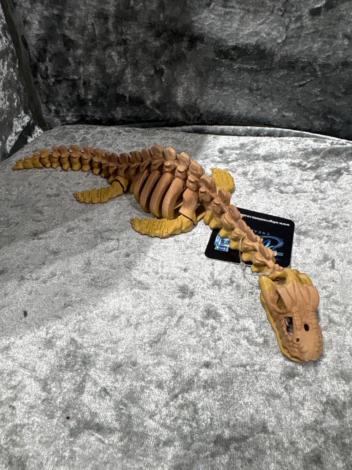 Pleisiosaur Skeleton