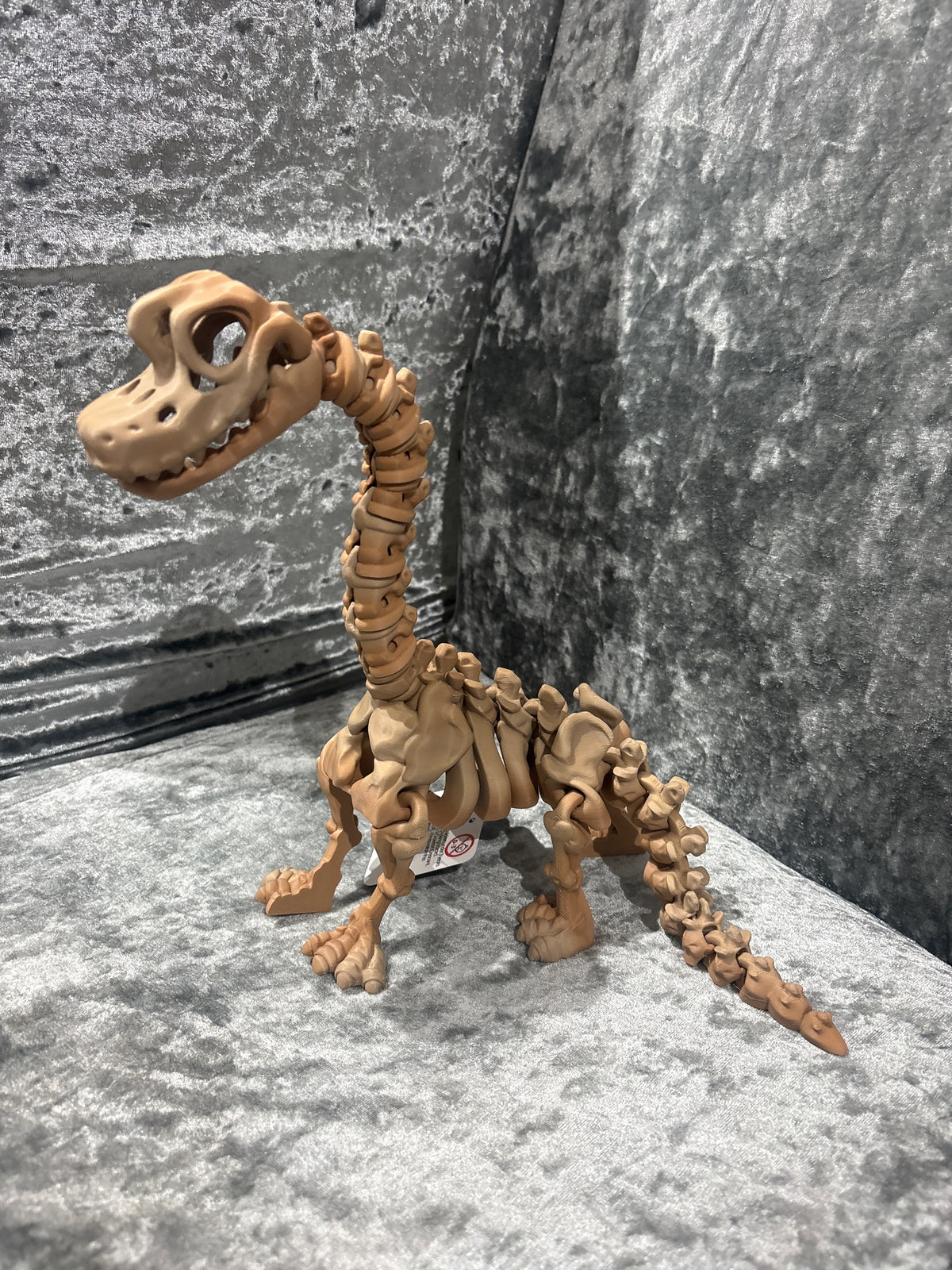 Large Brachiosaurus Skeleton