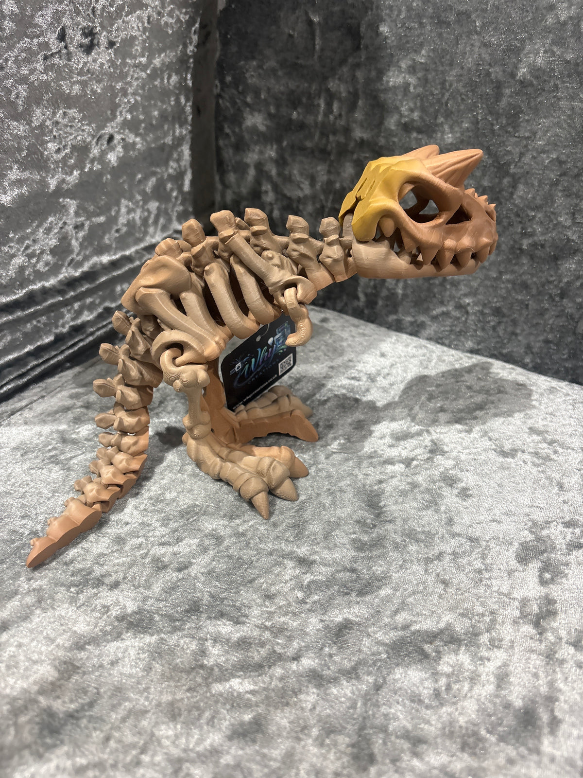 Carnotaurus Skeleton