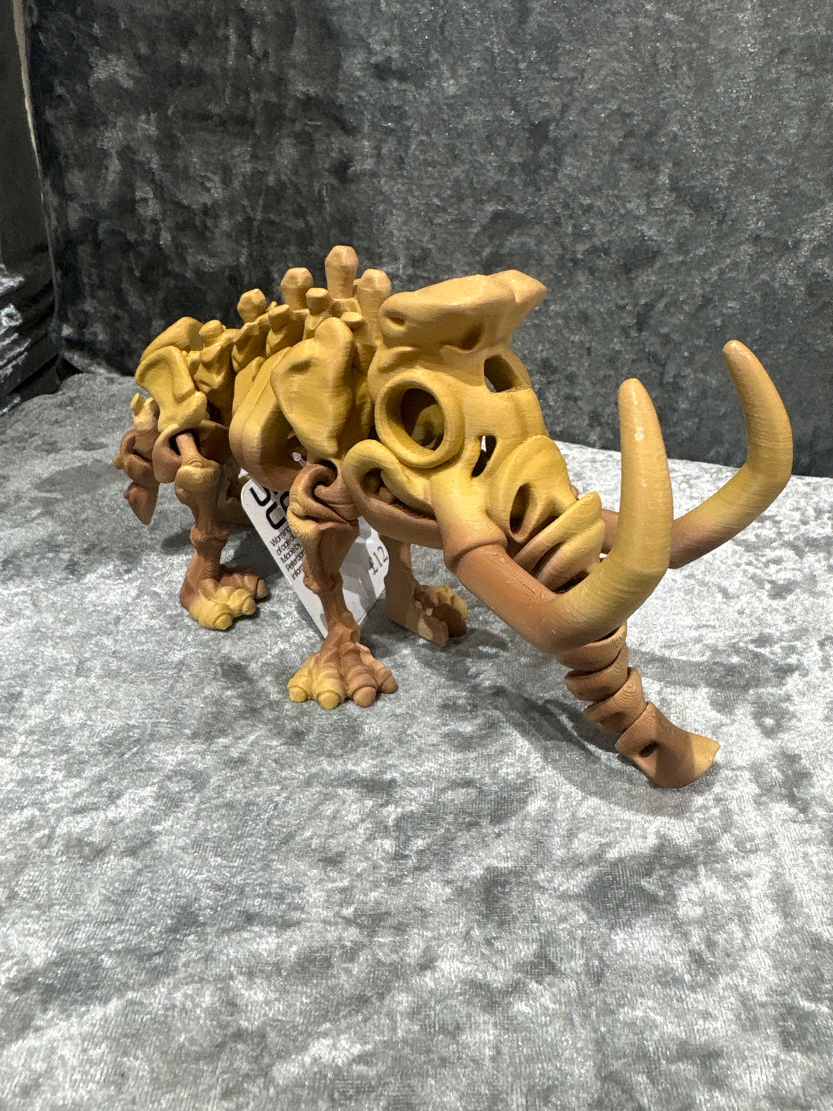 Mammoth Skeleton