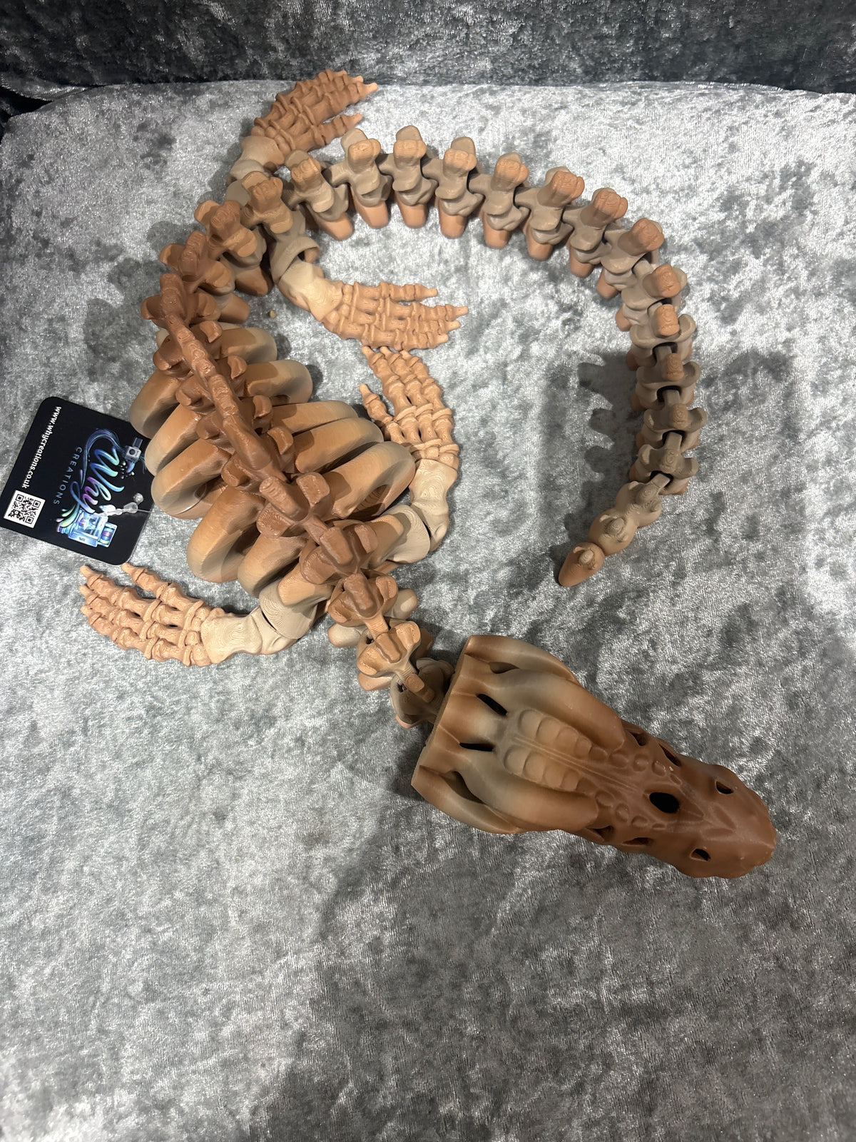 XL Mosasaurus