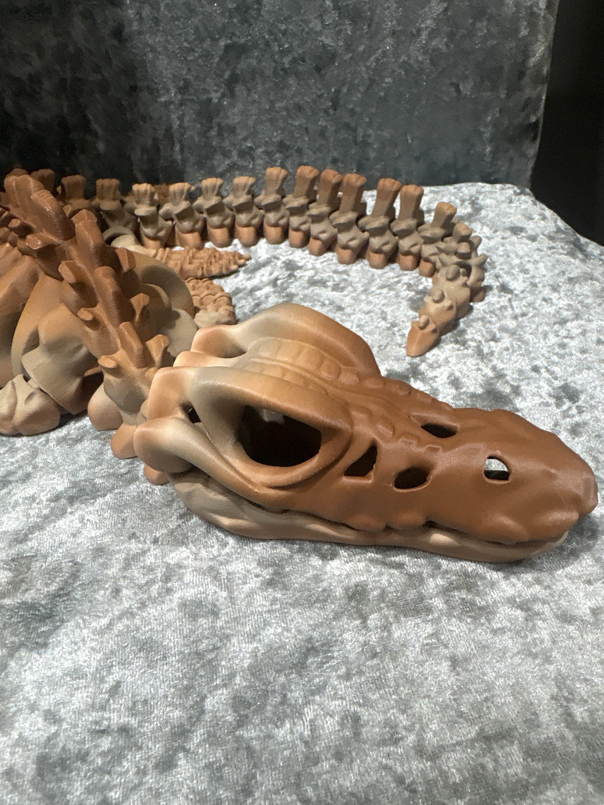 XL Mosasaurus