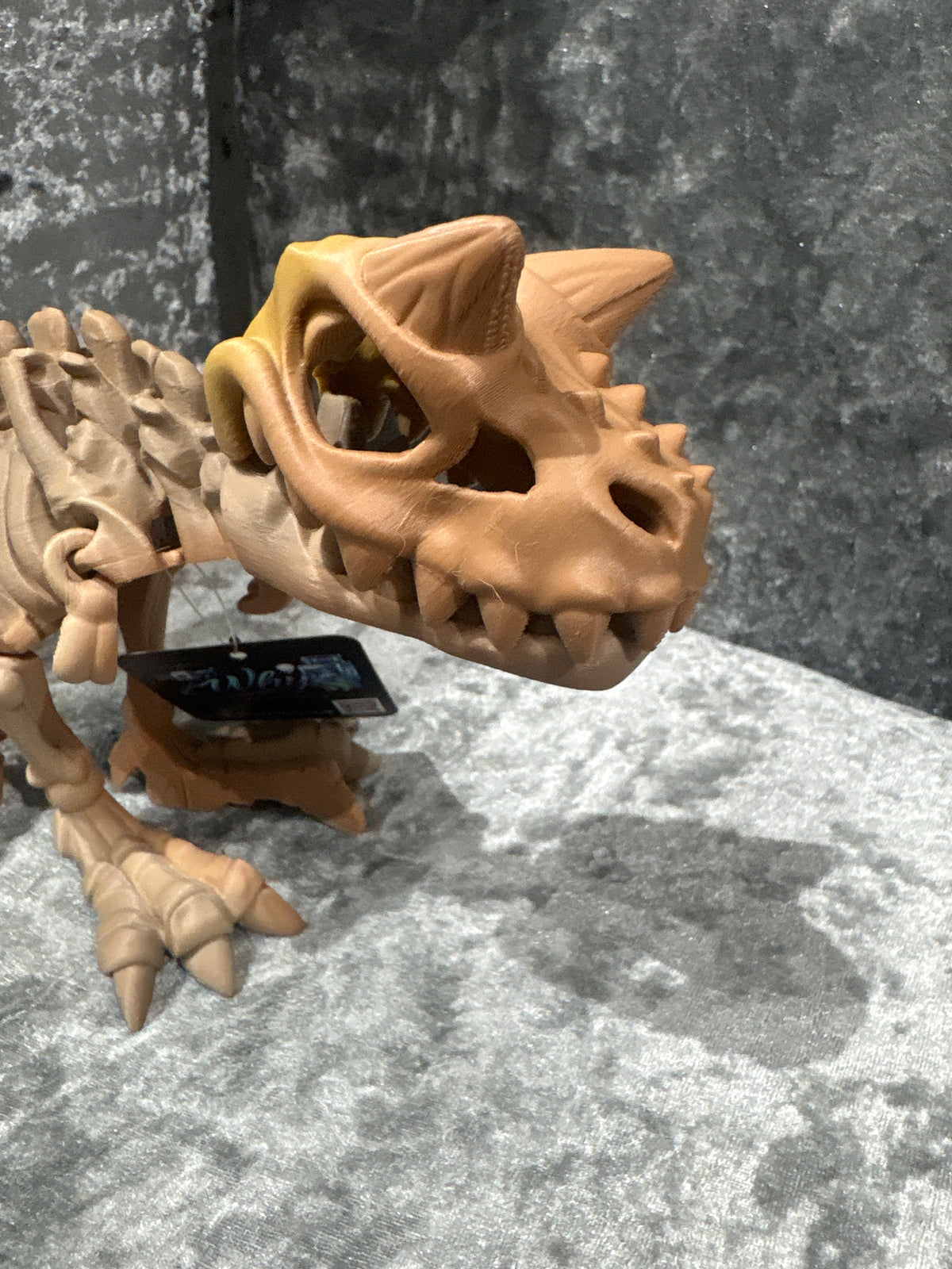 Carnotaurus Skeleton