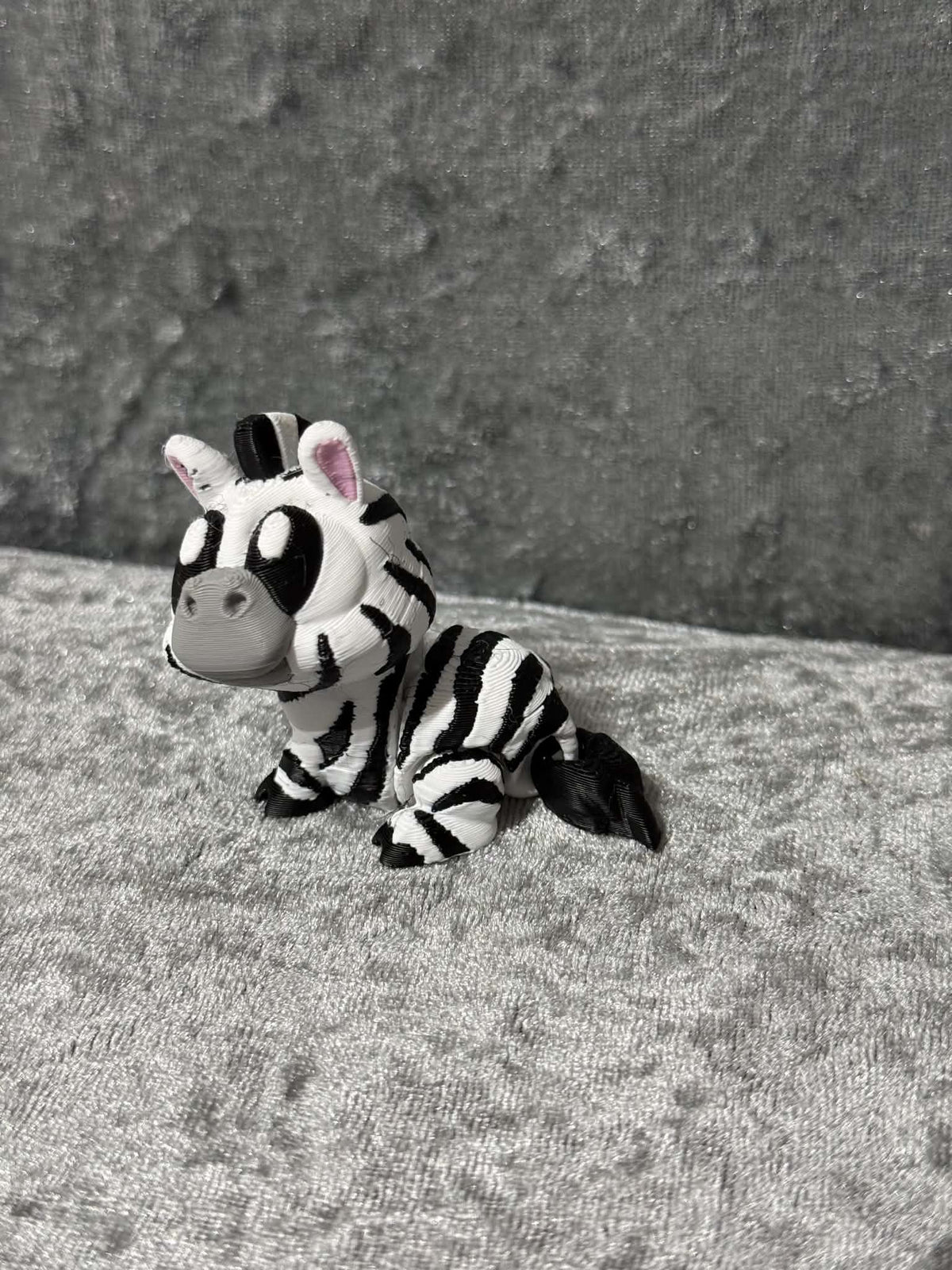 Cute little Zebra