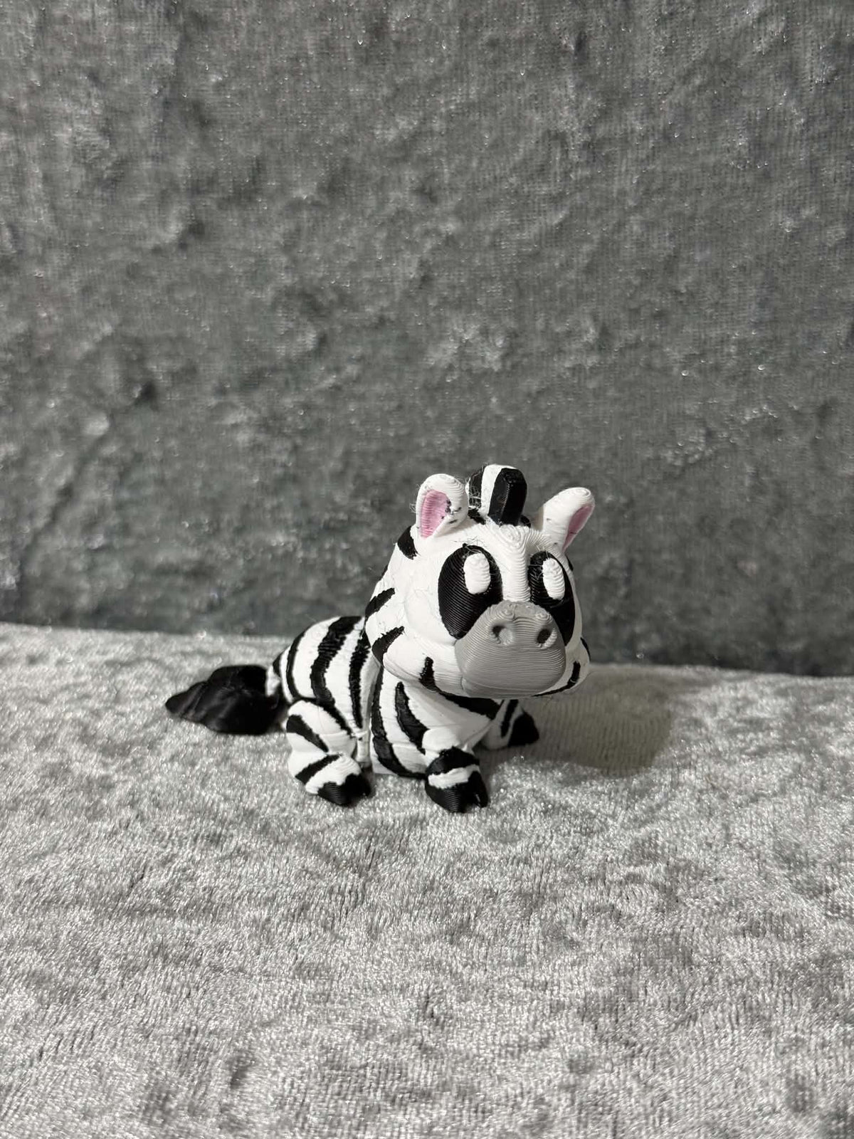 Cute little Zebra