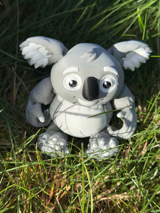 Koala