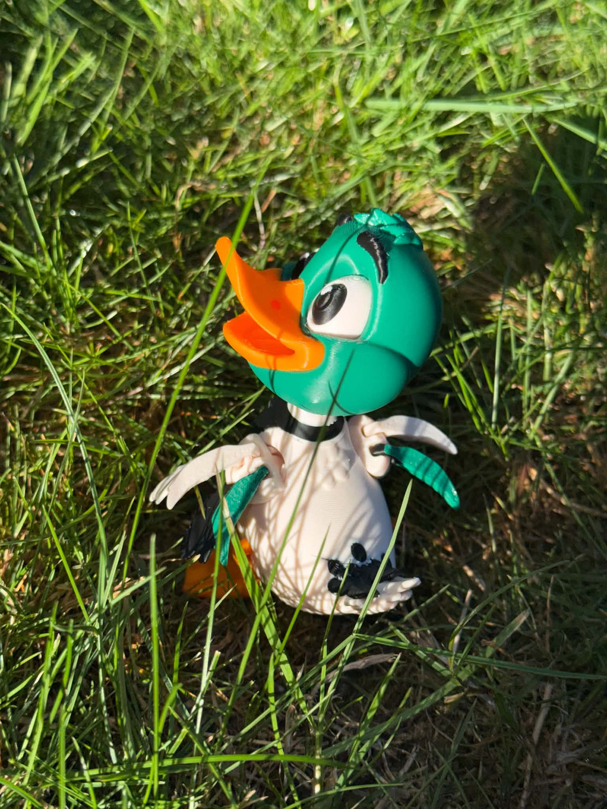 Mallard Duck