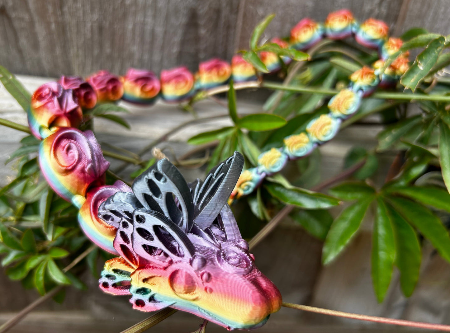 Butterfly Snake