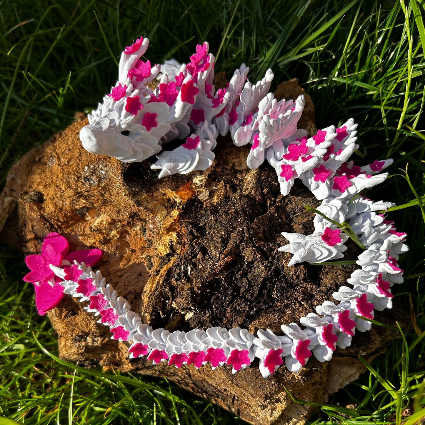 Cherry Blossom Dragon