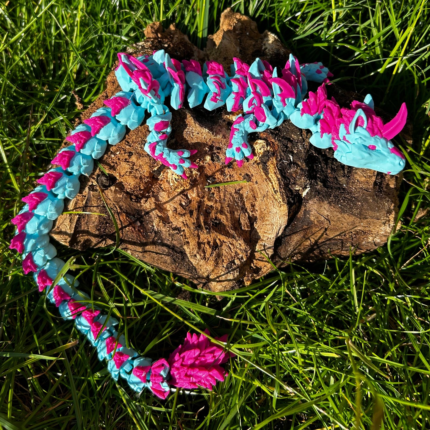 Unicorn Dragon