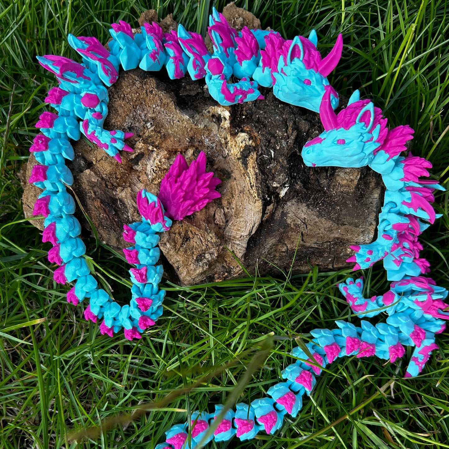 Unicorn Dragon