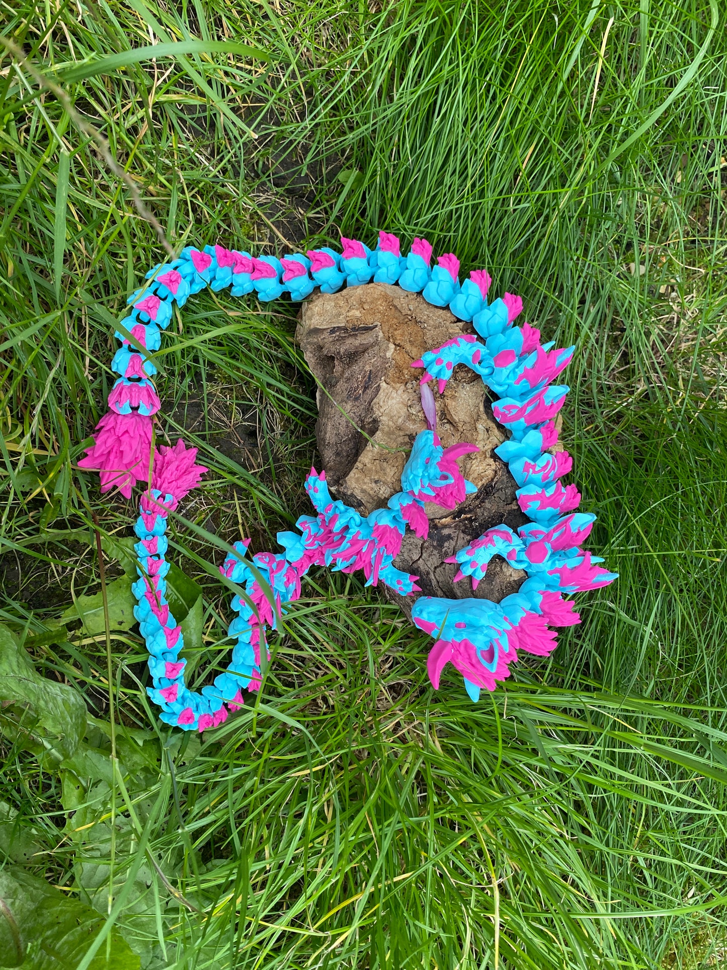 Unicorn Dragon