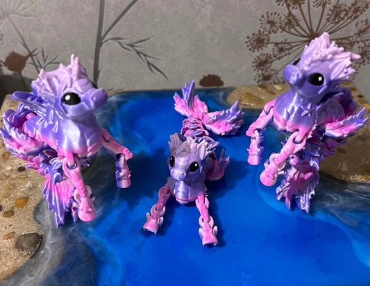 Hippocampus