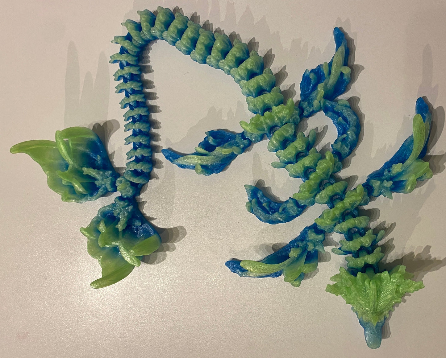Coral Reef Dragon